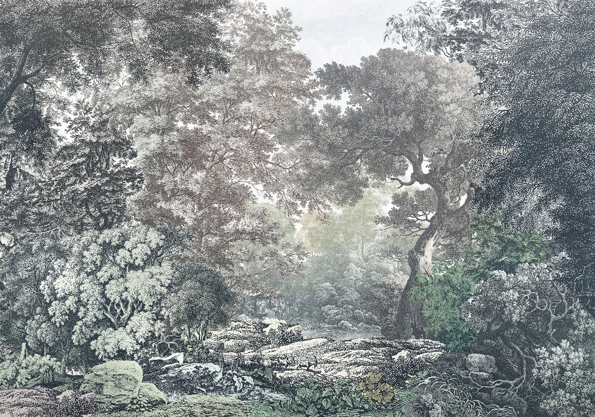 ❤ Komar Vliestapete »Fairytale Forest«, 400x280 cm (Breite x Höhe),  Vliestapete, 100 cm Bahnbreite ordern im Jelmoli-Online Shop