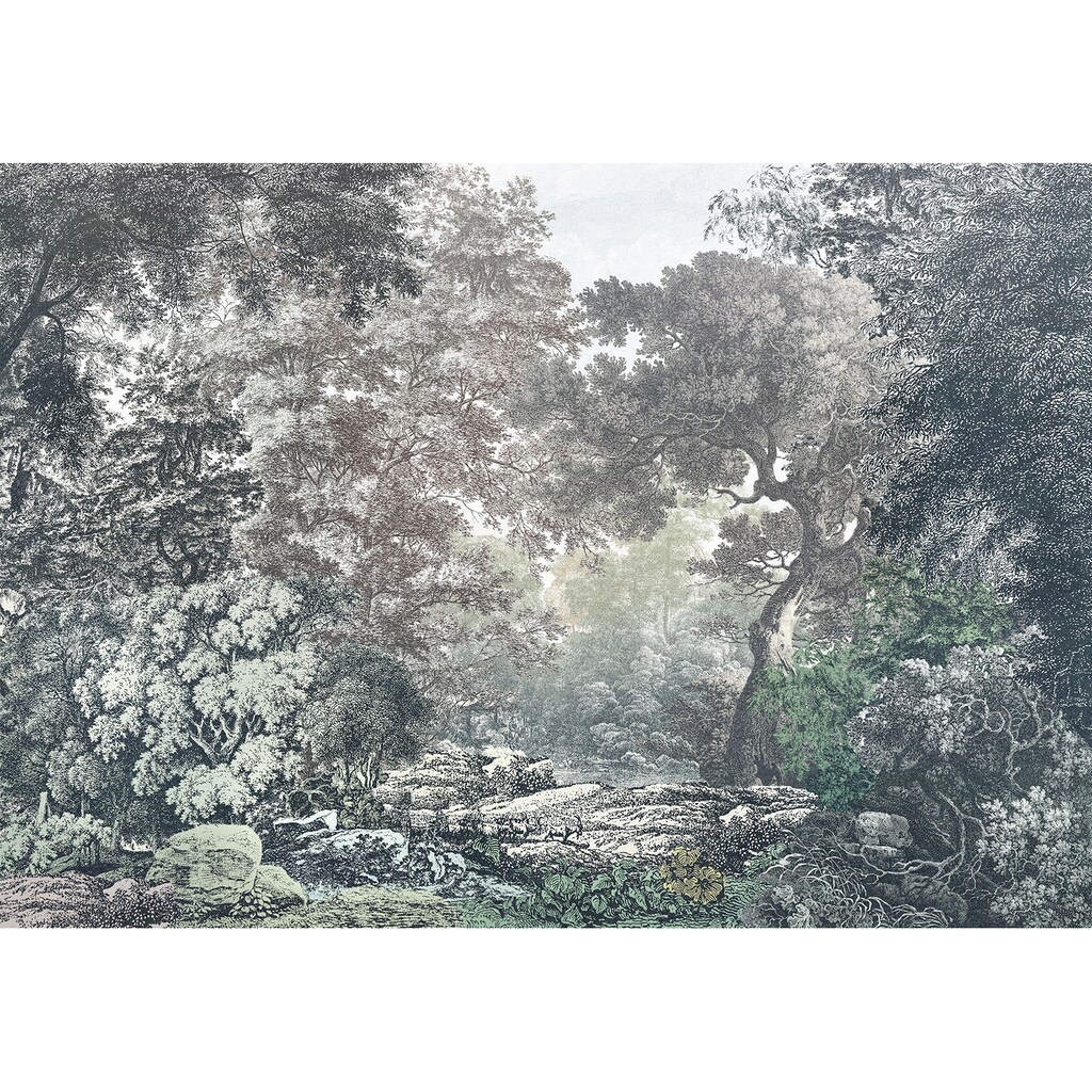 Komar Vliestapete »Fairytale Forest«