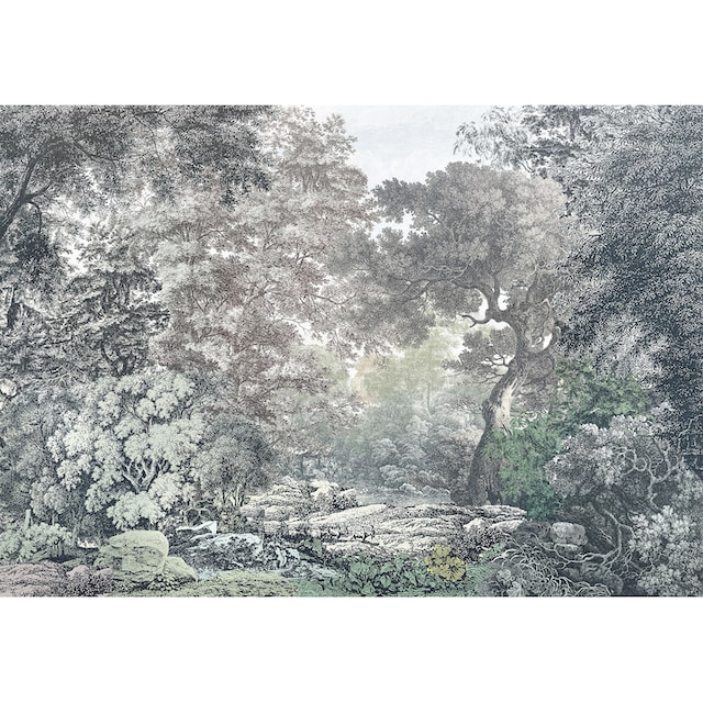 ❤ Komar Vliestapete »Fairytale Forest«, 400x280 cm (Breite x Höhe),  Vliestapete, 100 cm Bahnbreite ordern im Jelmoli-Online Shop
