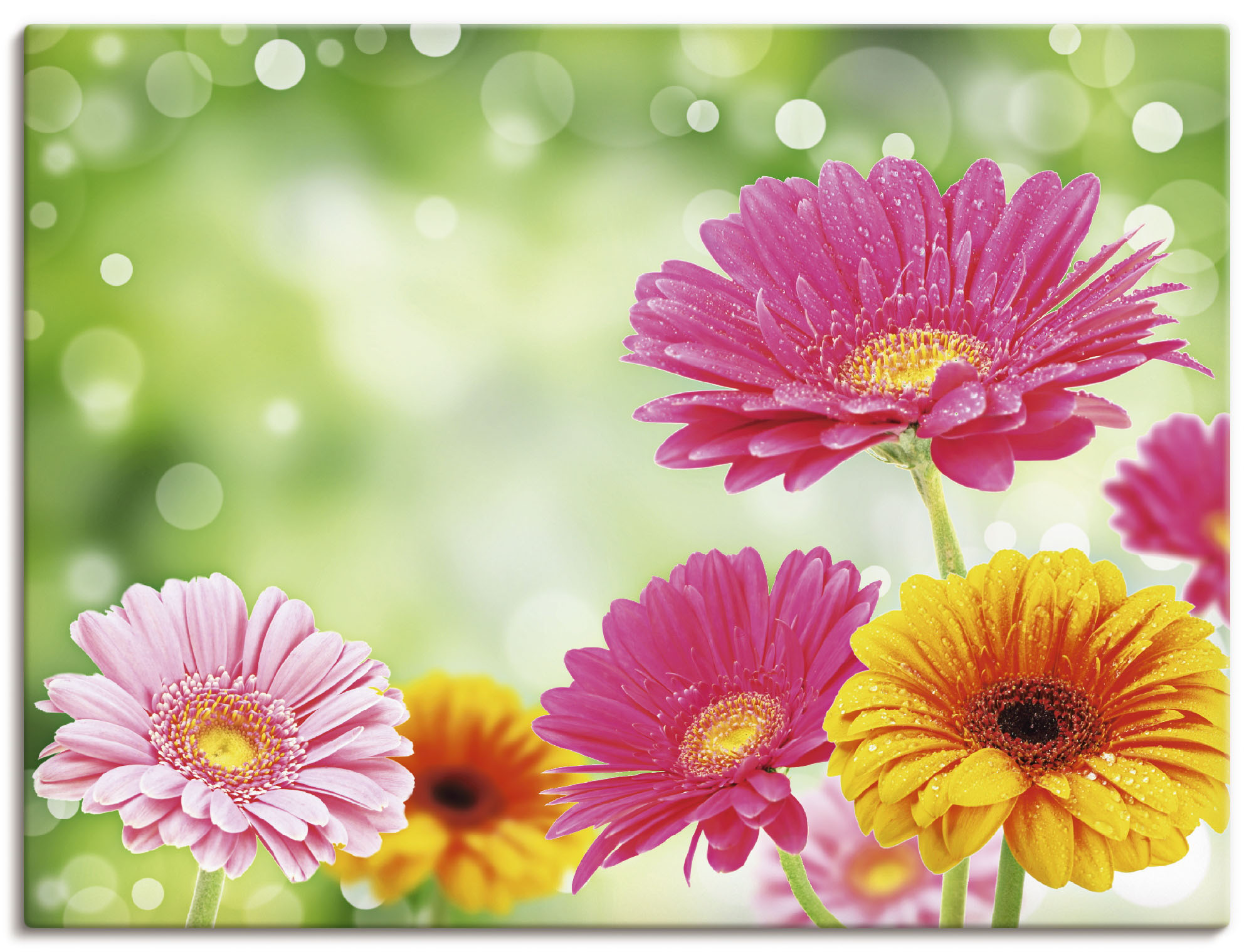 Artland Glasbild »Flieder«, Blumen, (1 Grössen online | in Jelmoli-Versand verschiedenen St.), kaufen