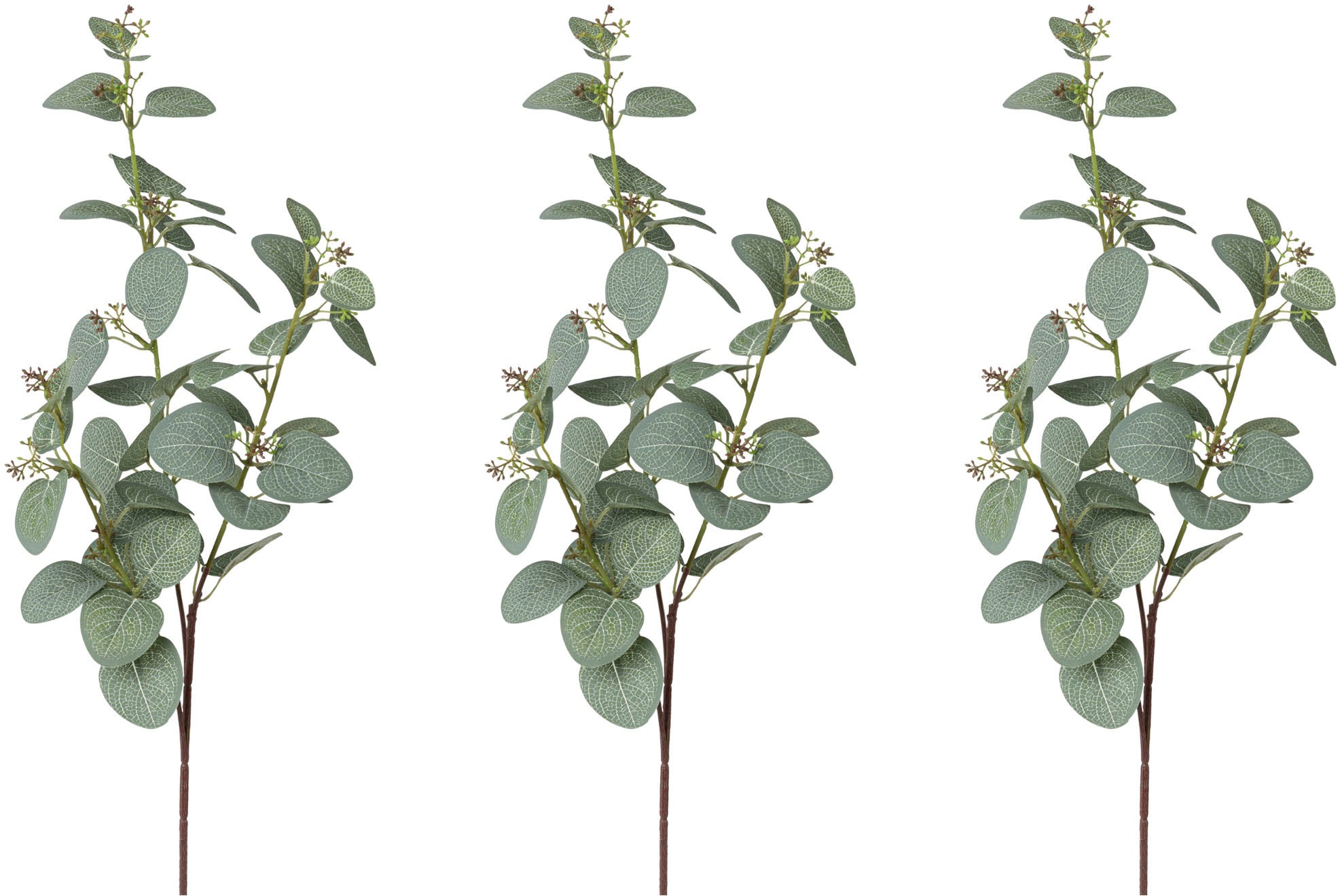 Creativ green Kunstzweig »Eukalyptuszweig«