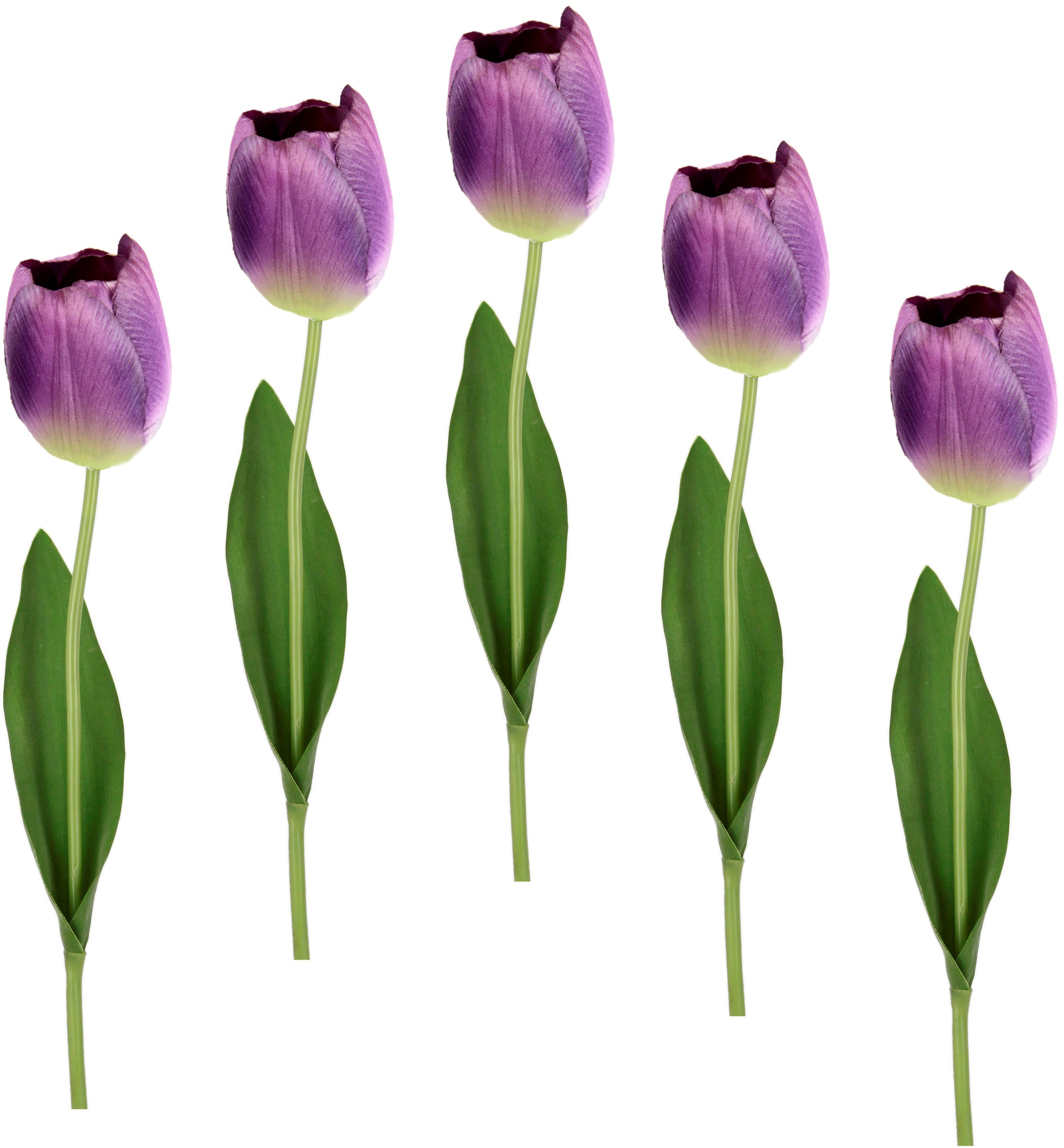 I.GE.A. Kunstblume »Real Touch Tulpen«, 5er Set künstliche Tulpenknospen, Kunstblumen, Stielblume
