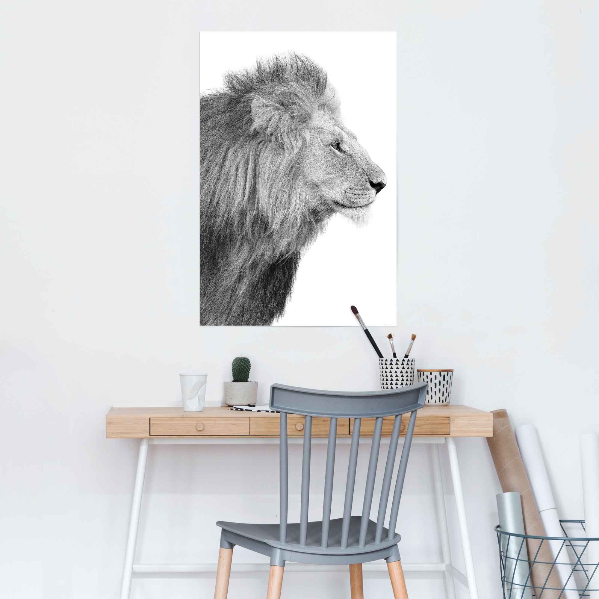 - - im Poster Seitenporträt Dschungel - Reinders! St.) Shop Kräftig«, Jelmoli-Online »Löwe entdecken König (1