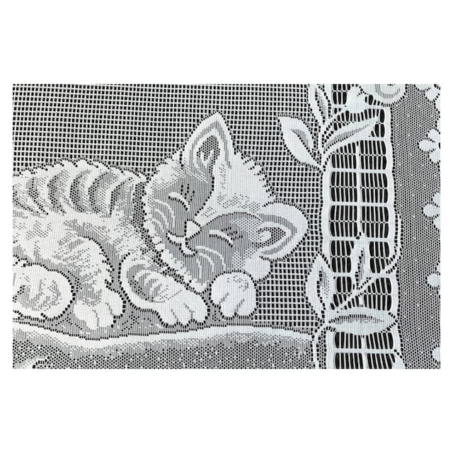 Hubatka TEXTIL Vorhang »Tagvorhang Katze«, (1 St.) online bestellen |  Jelmoli-Versand