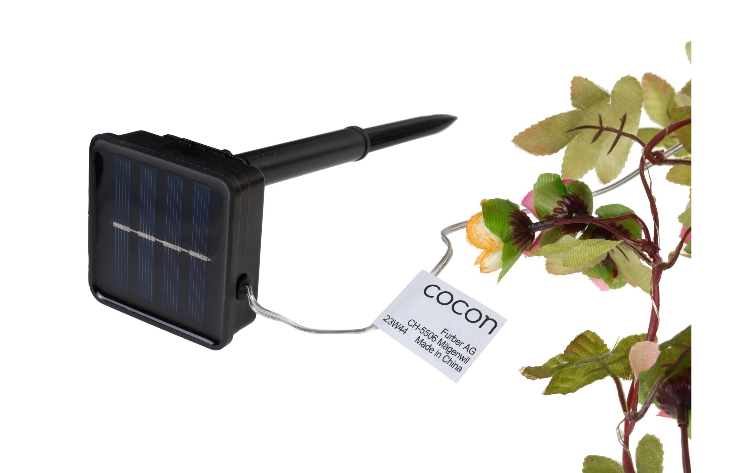 Cocon LED-Lichterkette »LED Solar Blumen, 10 m«, 100 St.-flammig