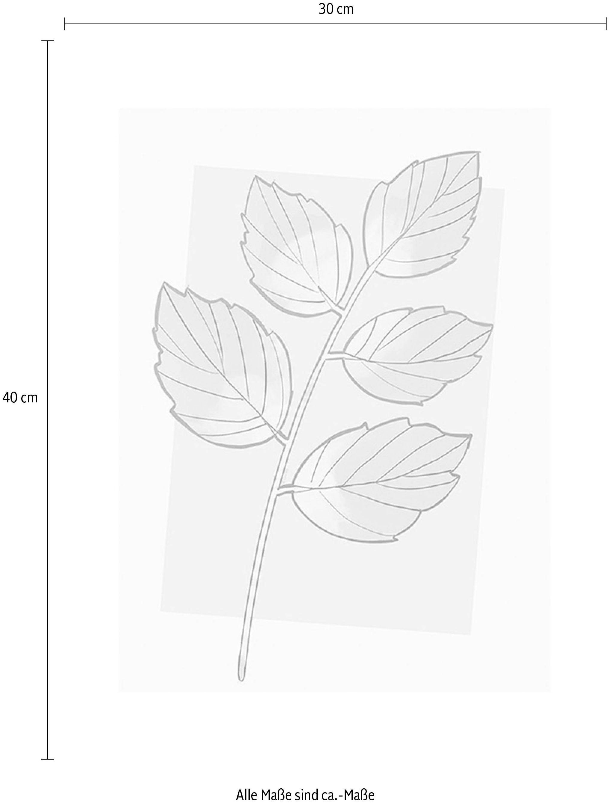 Komar Bild »Cinderella Plant«, Disney, (1 St.), Wandbild zur Dekoration im Kinderzimmer - ohne Rahmen