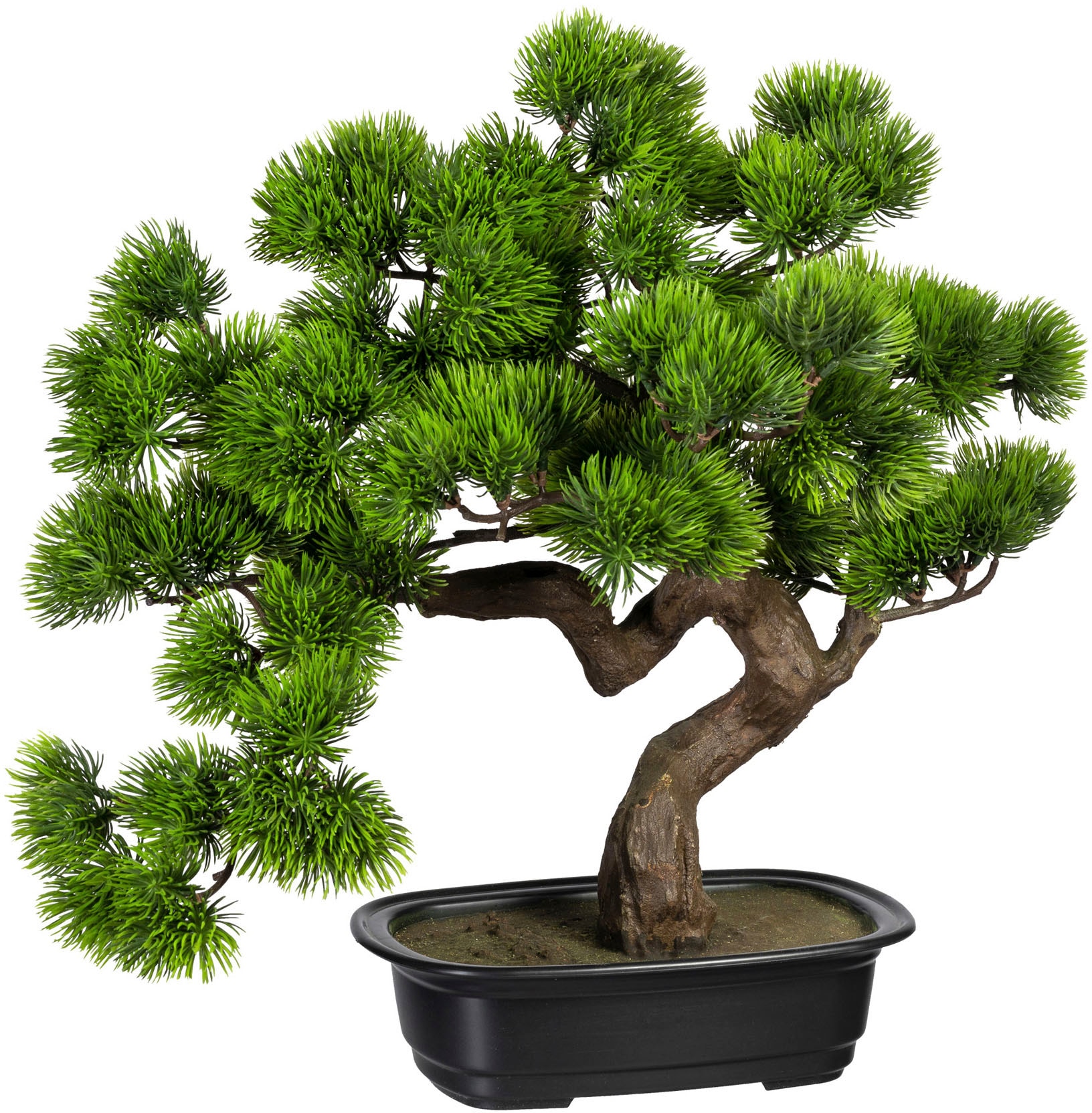 Creativ green Kunstbonsai »Bonsai Kiefer«