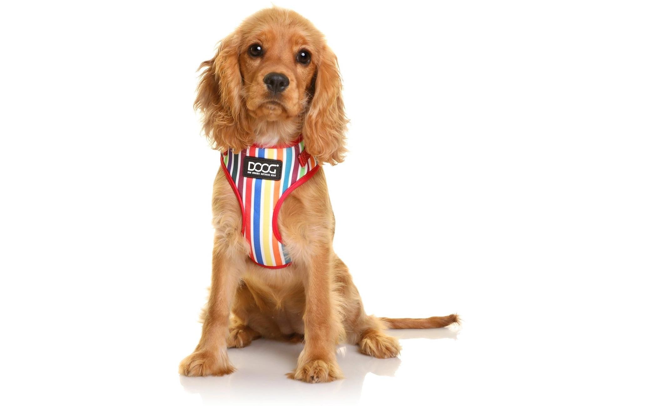 DOOG Hunde-Geschirr »Neoflex Scooby L Multicolor gestreift«