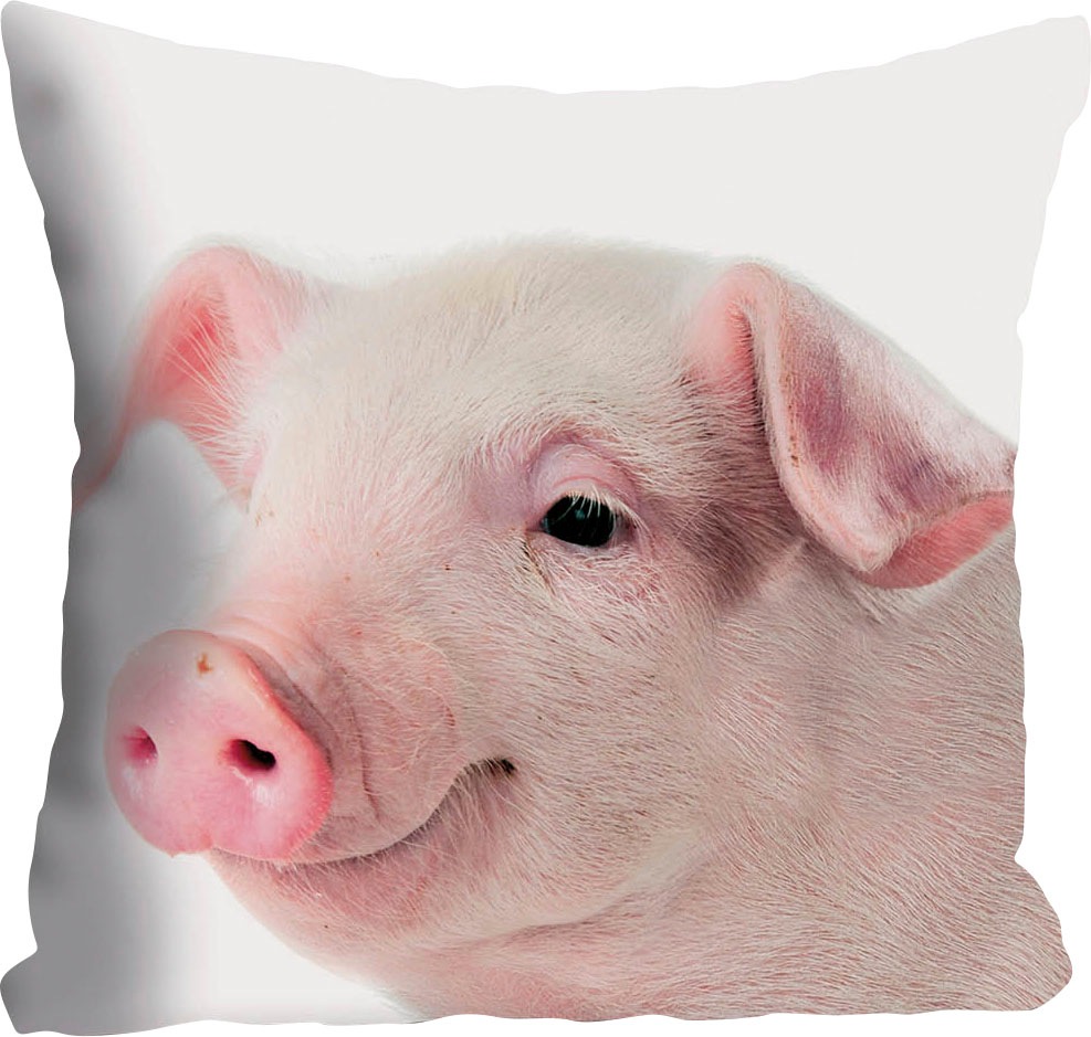 queence Dekokissen »Rebecca«, Kissenhülle,süsses Schweinchen,Rosa,Niedlich,Tiermotiv,Lustig