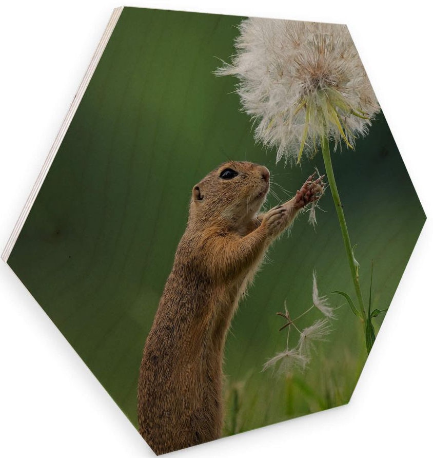 Wall-Art Holzbild »Eichhörnchen Holzbild Blumen«, online Jelmoli-Versand St.) (1 kaufen 