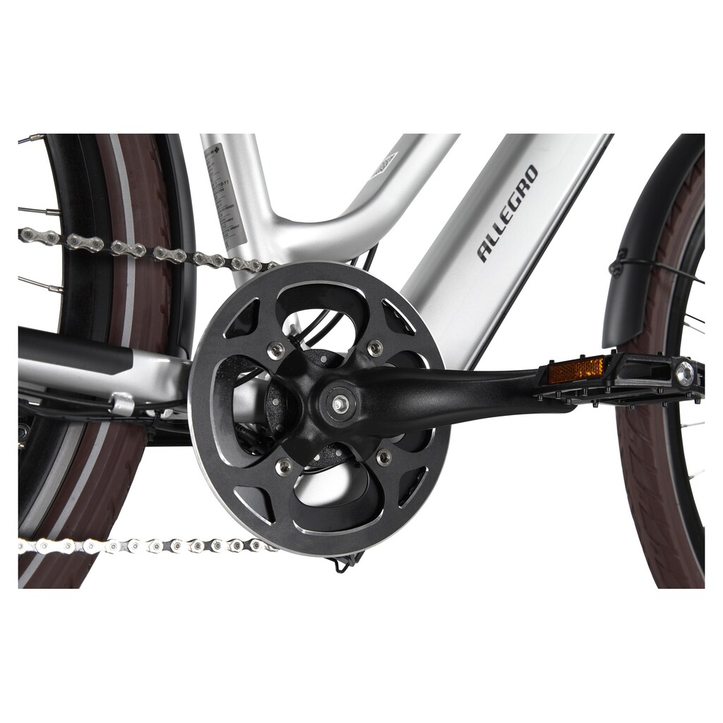 ALLEGRO E-Bike »Invisible Al«, Heckmotor 250 W