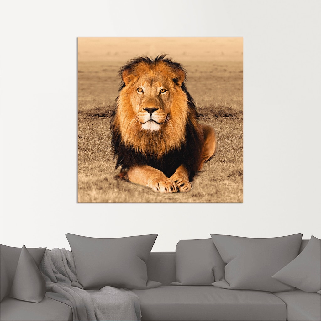 Artland Wandbild »Löwe«, Wildtiere, (1 St.)