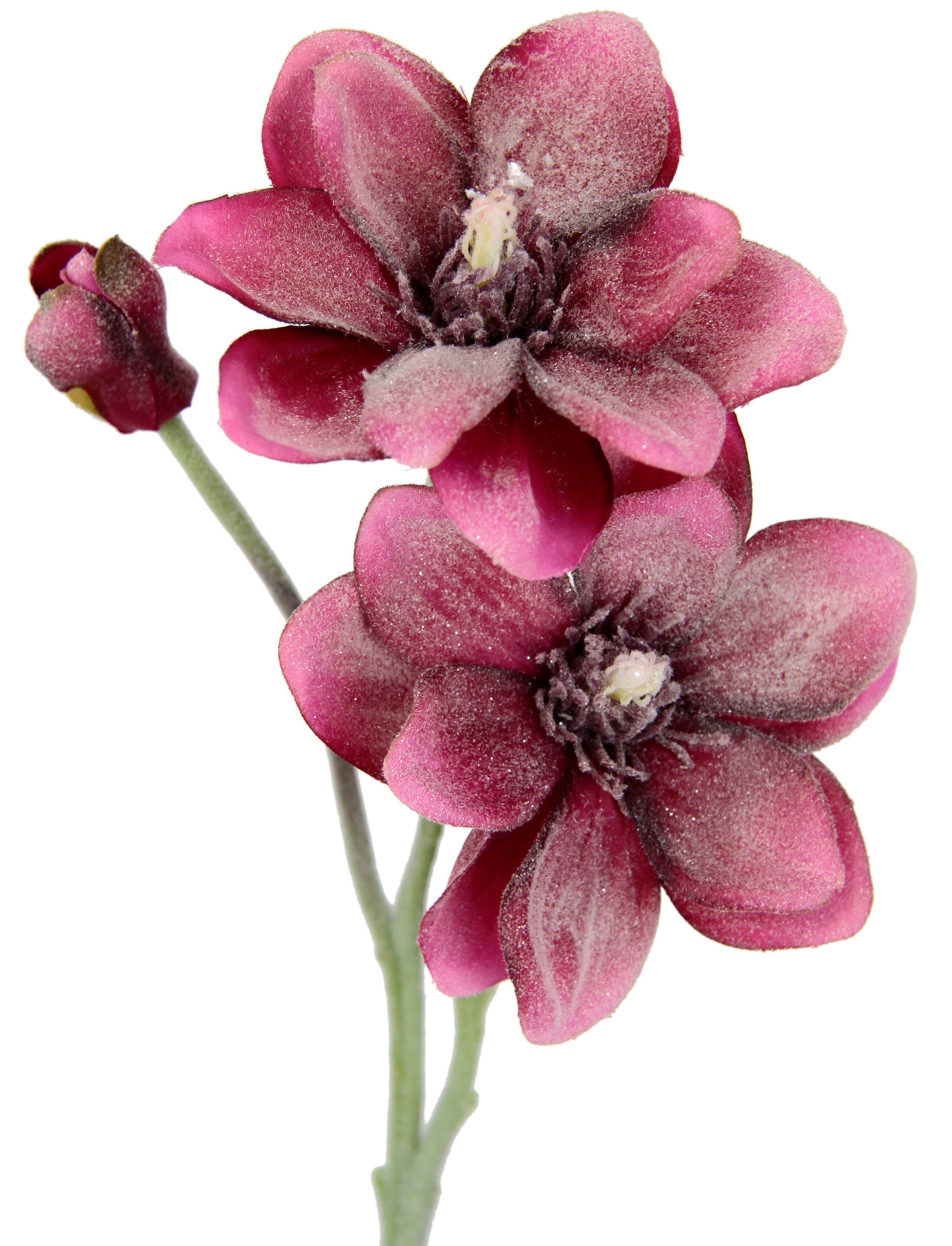 I.GE.A. Kunstblume »Magnolie«, Künstlicher Magnolienzweig, 3er Set online  kaufen | Jelmoli-Versand
