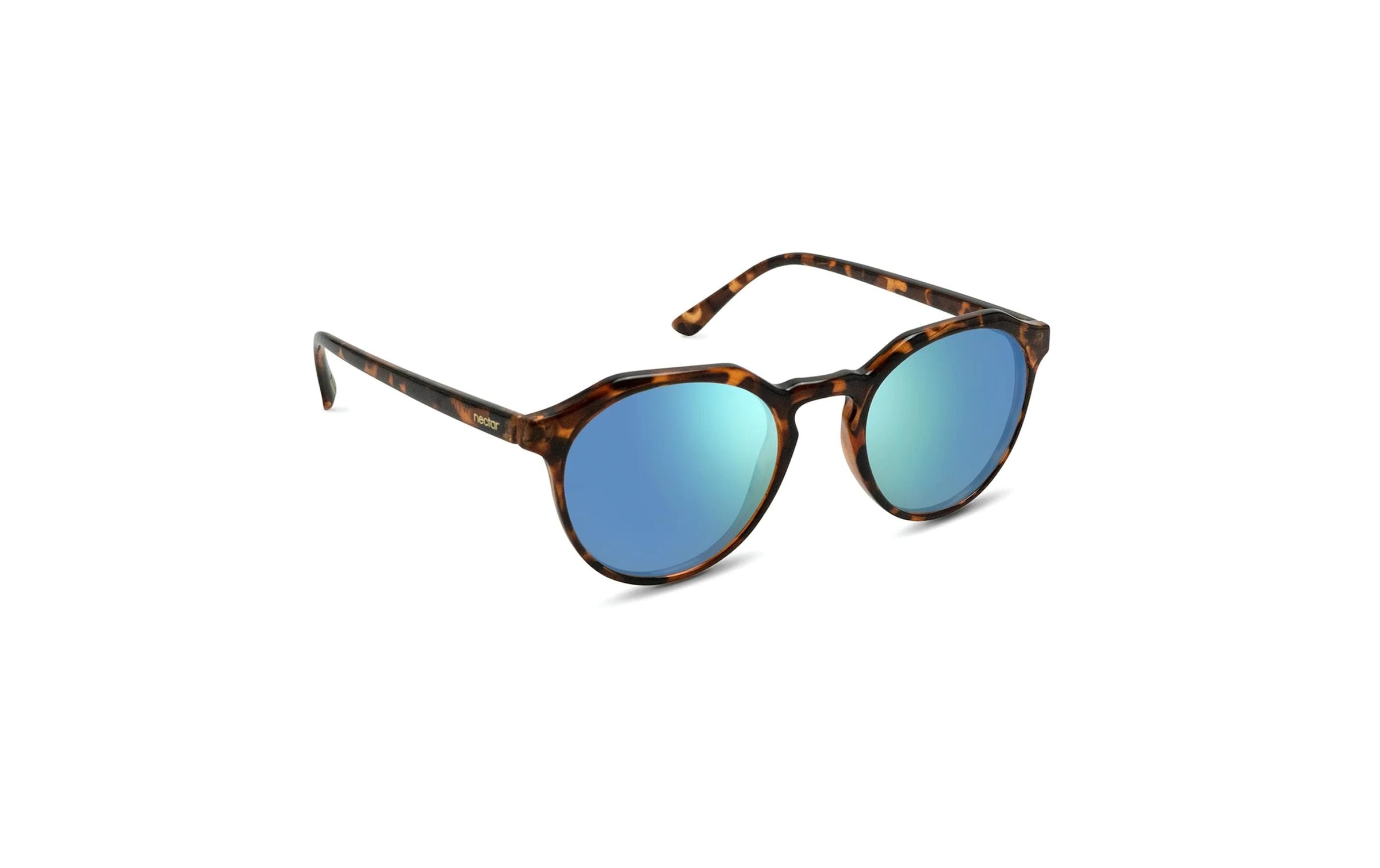 Sonnenbrille »Nectar Sonnenbrille Wynwood Glossy« bestellen bei online Jelmoli-Versand Schweiz