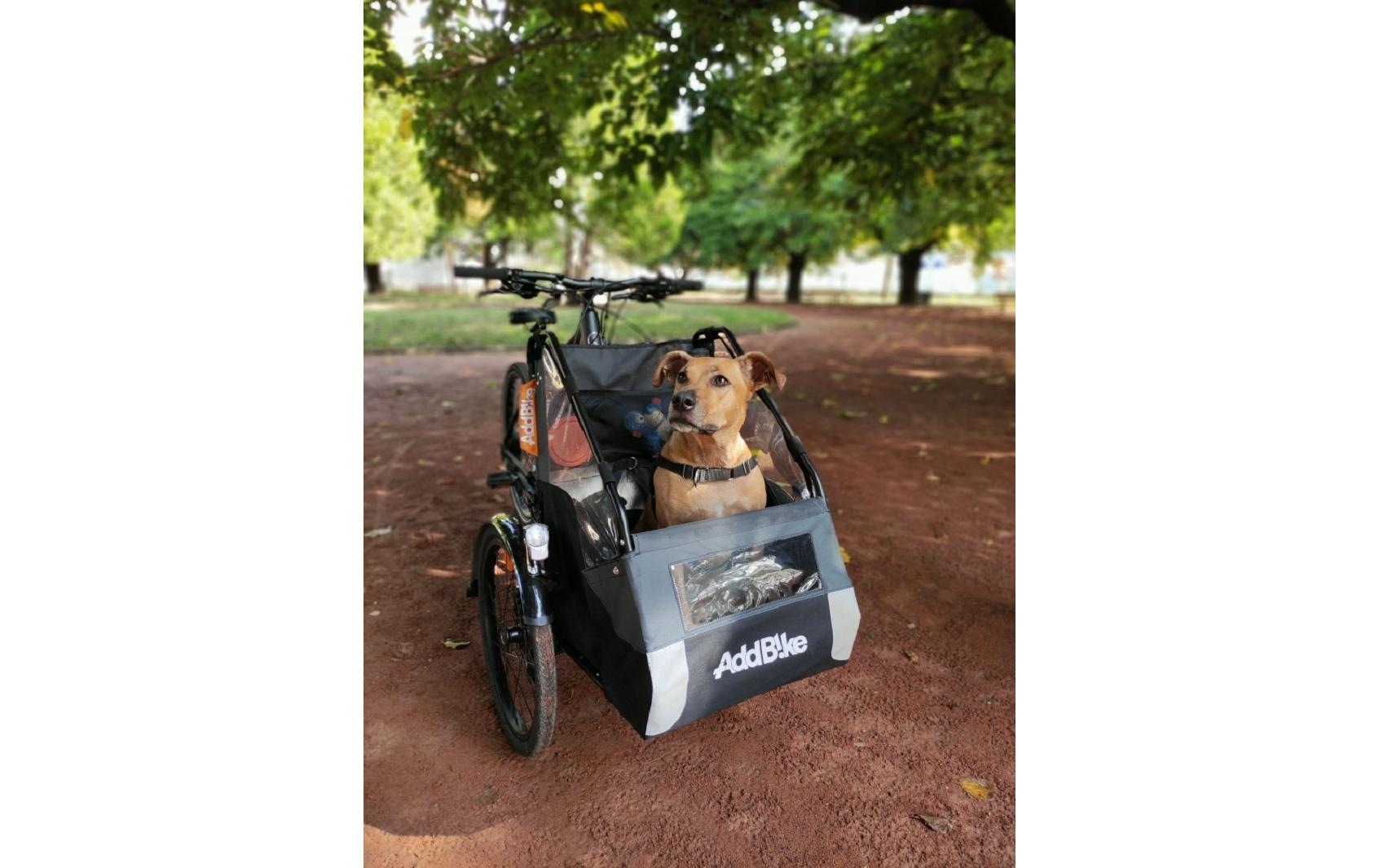 Fahrradhundeanhänger »AddBike Dog Kit«