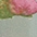 jade-fuchsia-pink-weiss-apfelgrün-grün-rosa-hellbraun