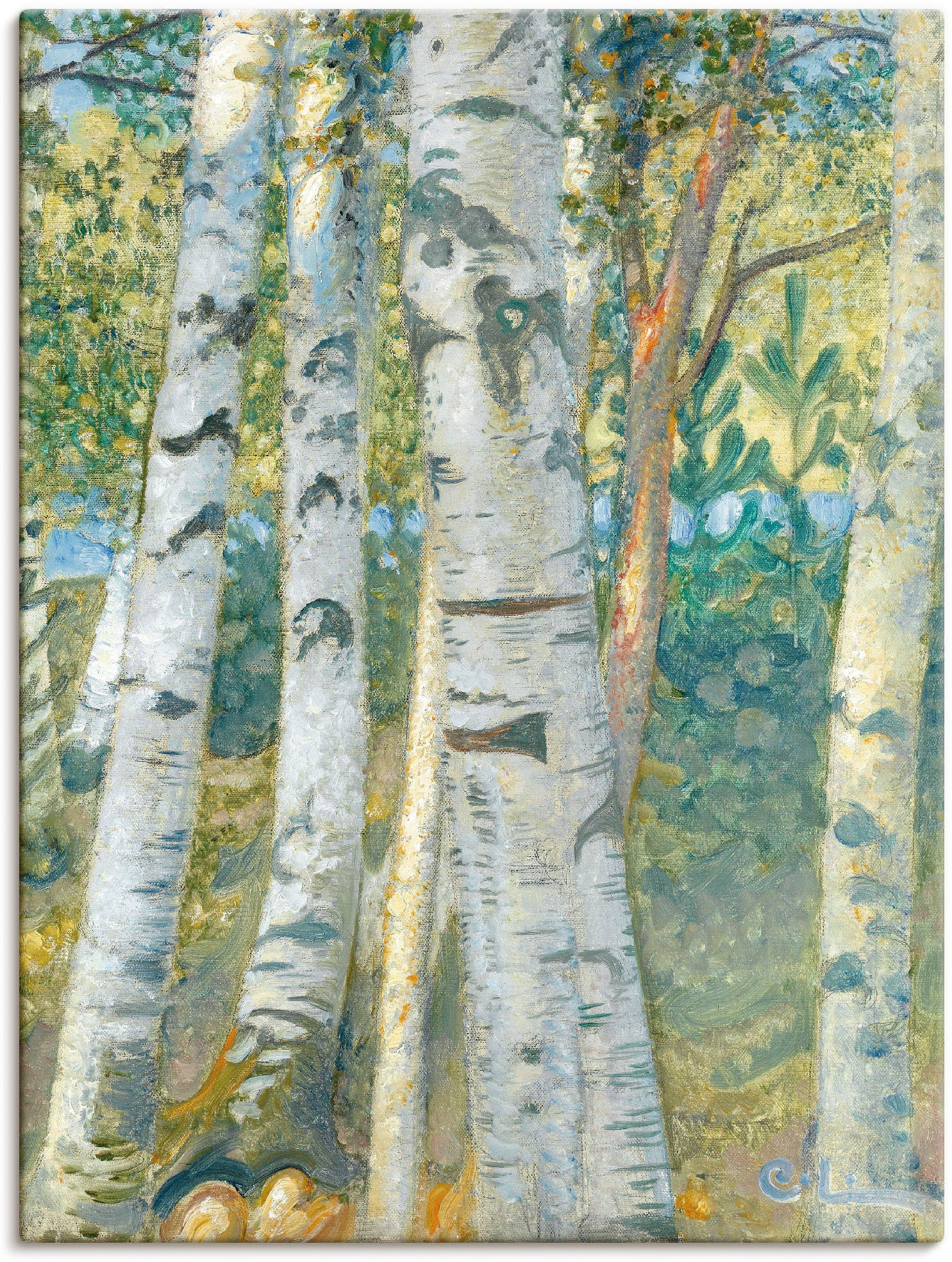 Poster oder versch. Wandaufkleber in Leinwandbild, St.), als online bestellen »Birkenstämme. Jelmoli-Versand Grössen | Bäume, Artland Wandbild 1910«, (1