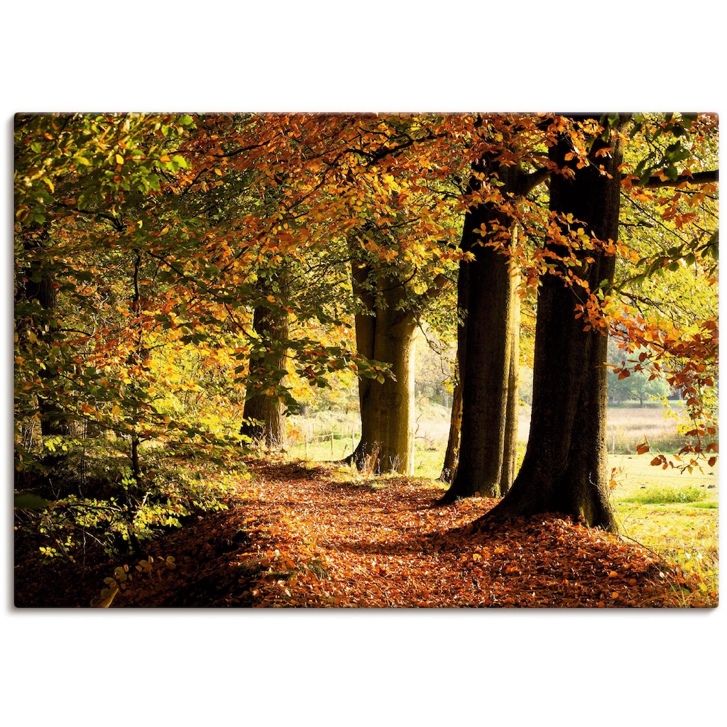 Artland Wandbild »Herbstfarben«, Bäume, (1 St.)