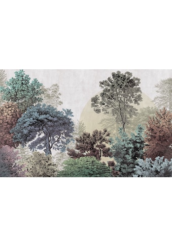 Komar Fototapete »Bois Brumeux«, botanisch-tropisch-Motiv, bedruckt, botanisch,... kaufen