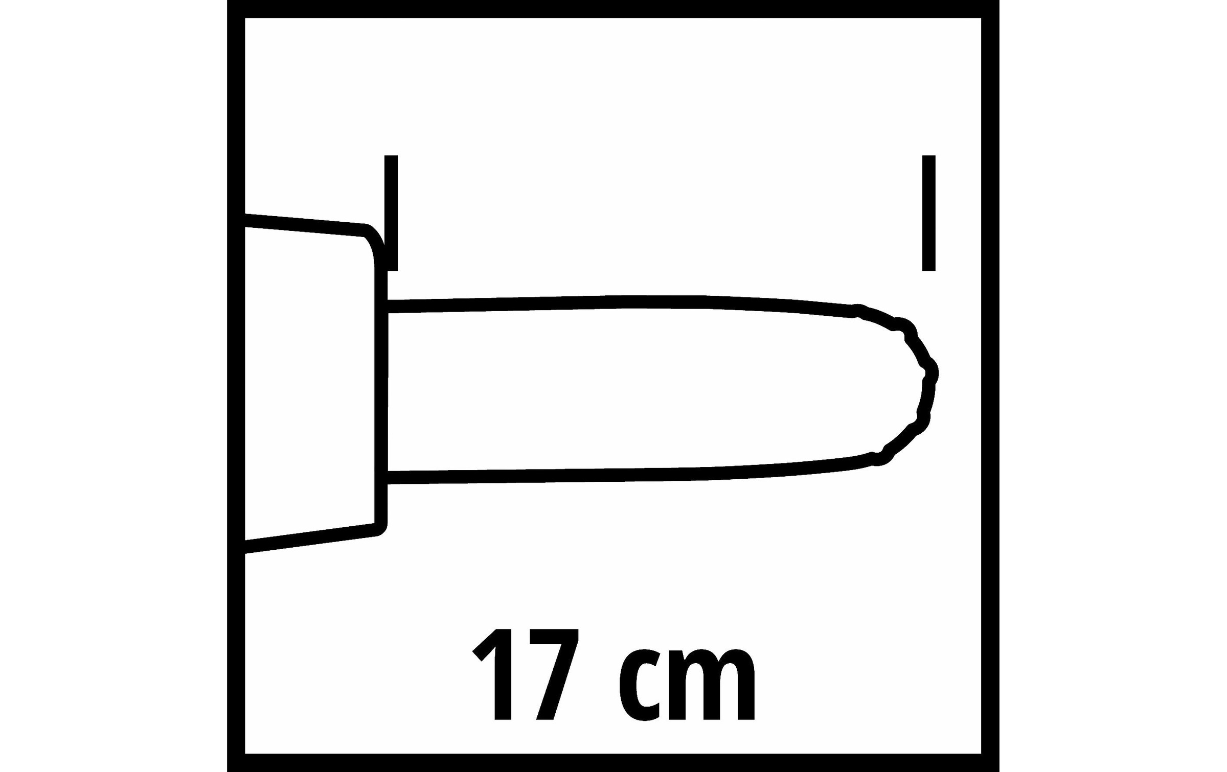 Einhell Akku-Hochentaster »GE-HH 18 Li T«