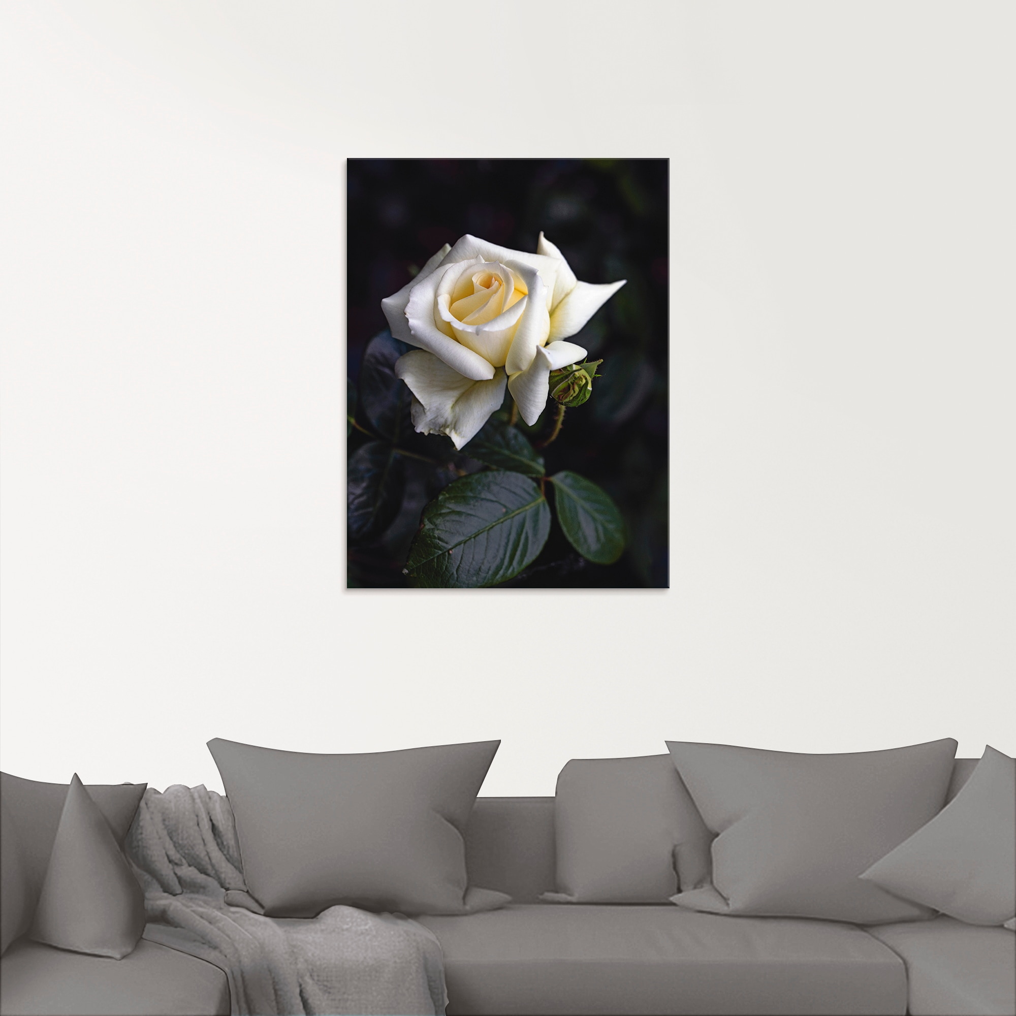 Artland Glasbild »Weiss-gelbe Rose«, Blumen, (1 St.), in verschiedenen Grössen