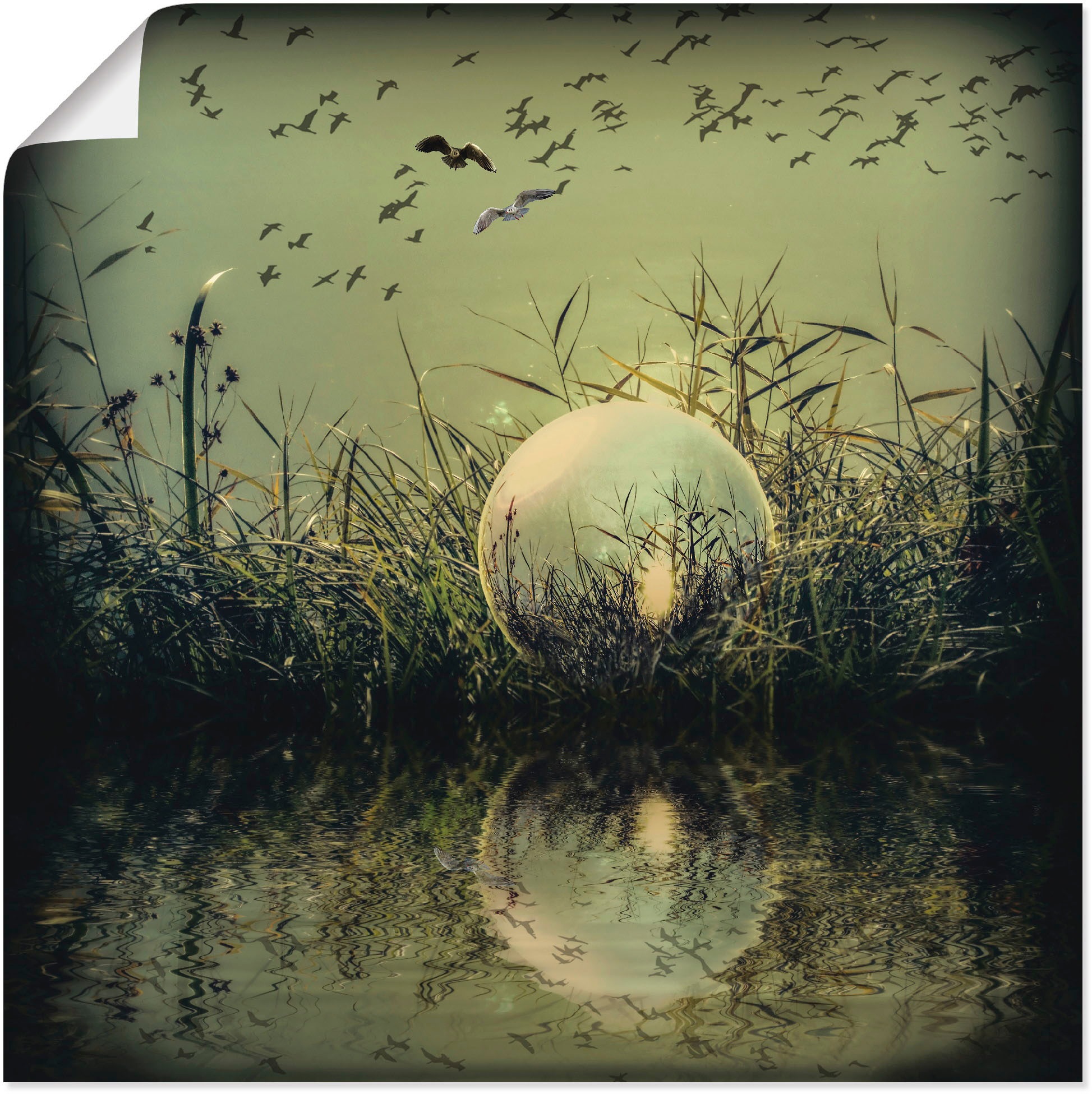 Artland Wandbild »In der Glaskugel - Mystische Au«, Landschaften, (1 St.),  als Alubild, Leinwandbild, Wandaufkleber oder Poster in versch. Grössen  online bestellen | Jelmoli-Versand