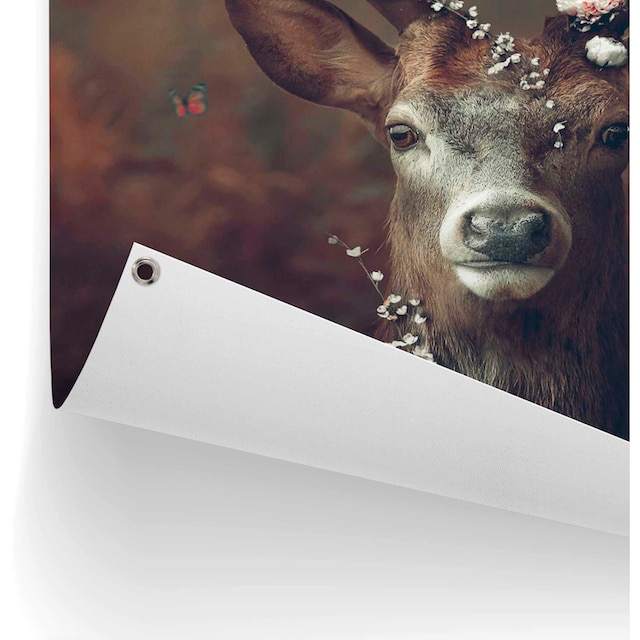 »Hirsch« online shoppen Jelmoli-Versand | Reinders! Poster