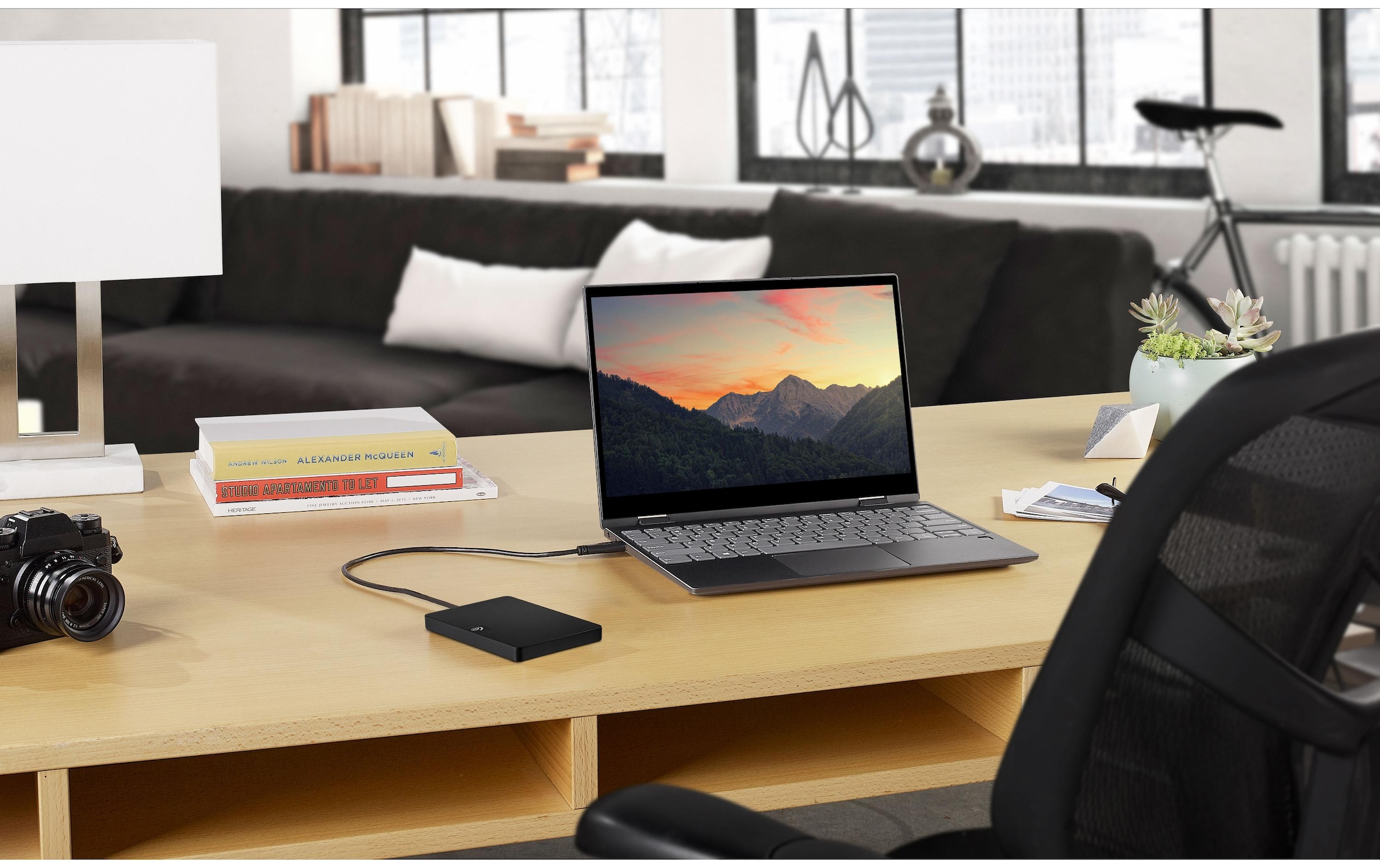 Seagate externe HDD-Festplatte »Expansio«