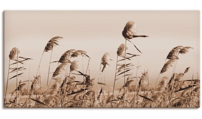 Artland Wandbild »Roter Ara«, Vögel, (1 St.), als Alubild, Leinwandbild,  Wandaufkleber oder Poster in versch. Grössen online kaufen | Jelmoli-Versand