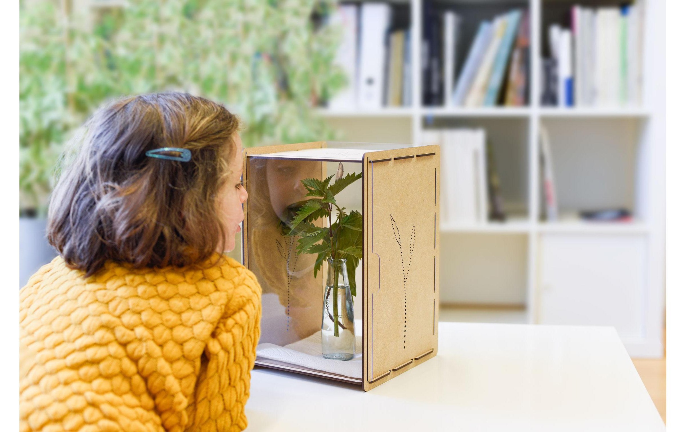 Insektenhotel "Mein Raupenkasten"