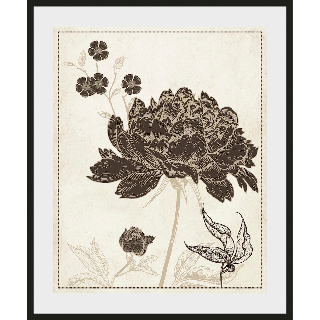 queence Bild »Russel«, Blumen, (1 St.)