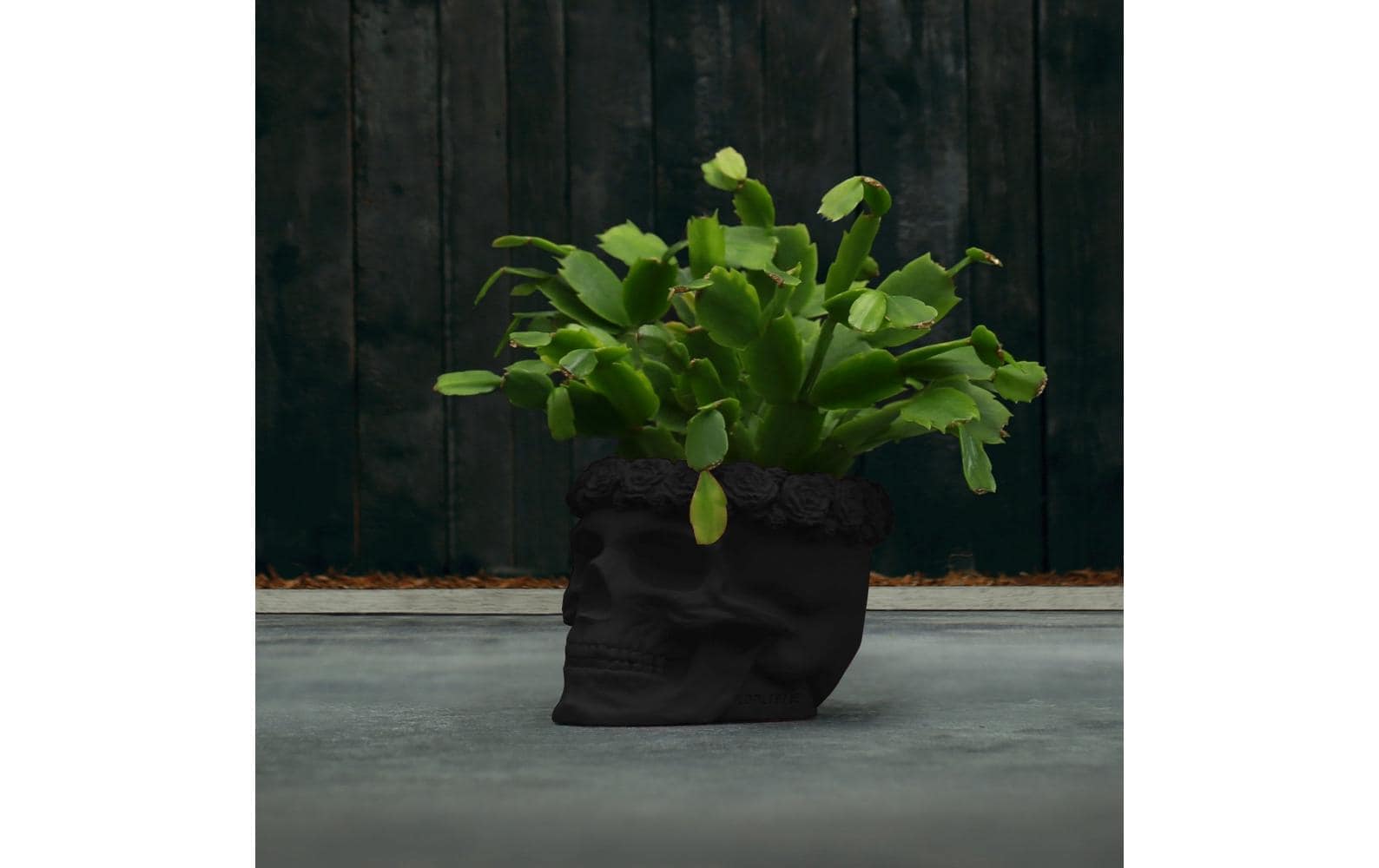 Blumentopf »Totenkopf Blumen 12 x 15 cm, Schwarz matt«