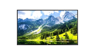 LG LED-Fernseher »43UT782H 43 Zoll«, 109,22 cm/43 Zoll kaufen