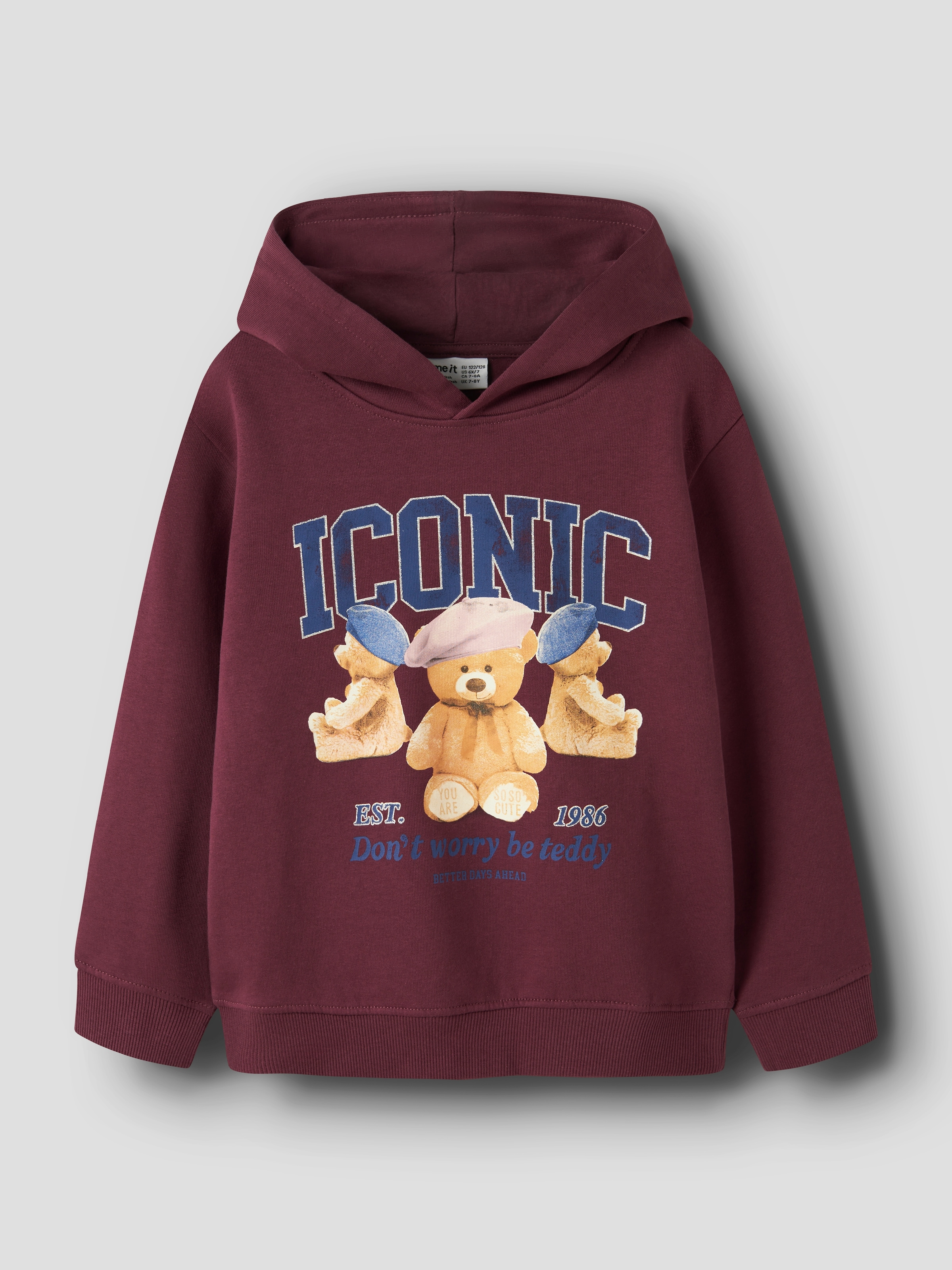 Name It Hoodie »NKFRYCCA LS NREG SWEAT WH BRU BOX«
