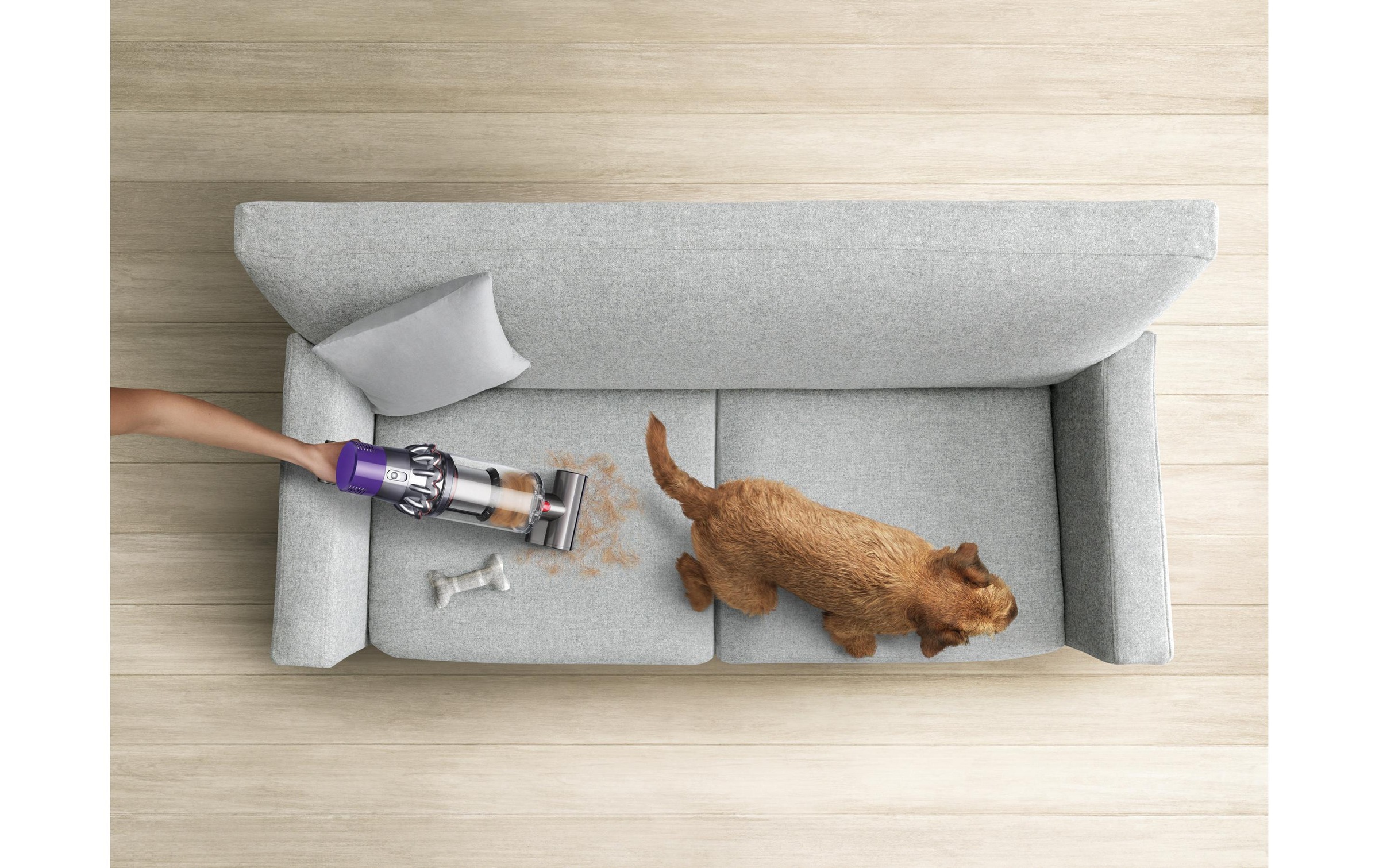 DYSON Akku-Stielstaubsauger »Cyclone V10 Absolute«