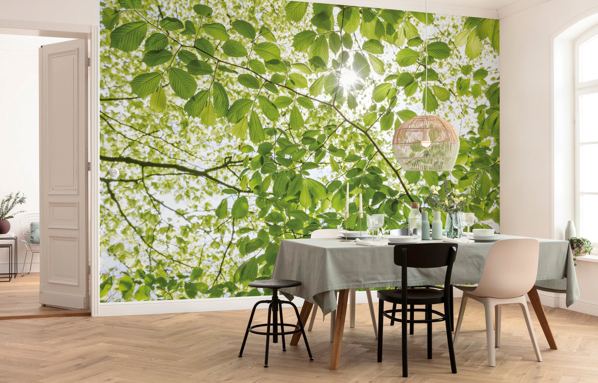 Komar Vliestapete "Digitaldruck Vlies - Im Frühlingswald - Größe 450 x 280 cm" bedruckt glatt Wohnzimmer, Schlafzimmer