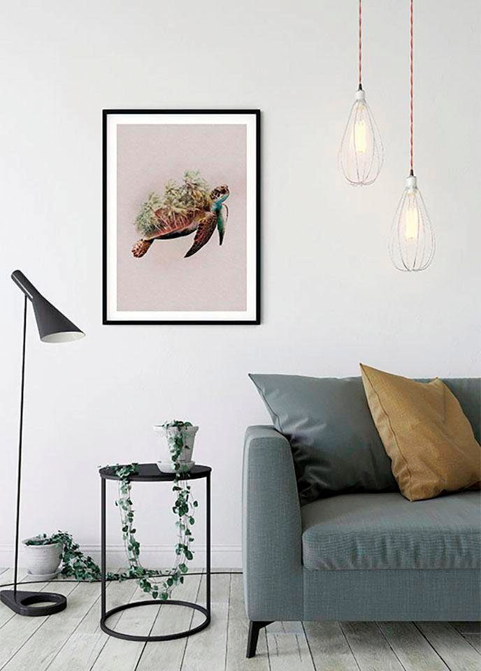Komar Paradise Jelmoli-Online Schlafzimmer, St.), im Poster kaufen Wohnzimmer ❤ Turtle«, »Animals Tiere, Kinderzimmer, Shop (1