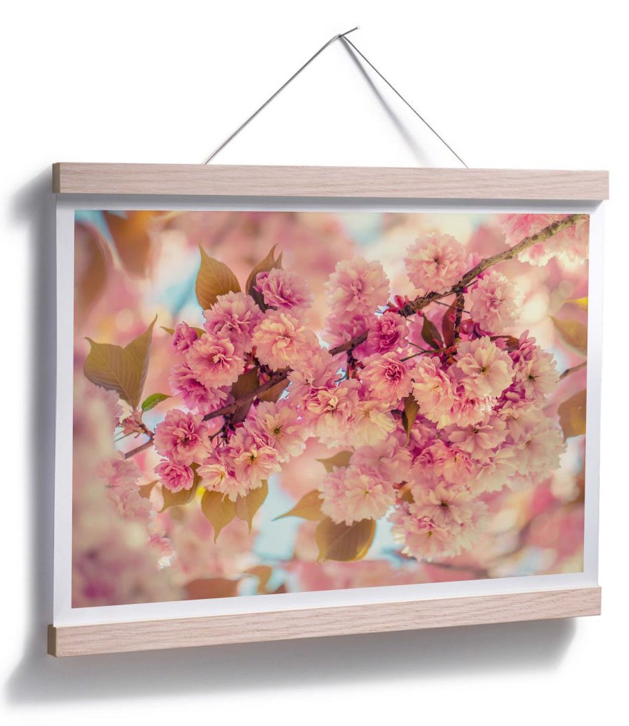 (1 Wall-Art online bestellen »Kirschblüten«, St.) | Poster Jelmoli-Versand Natur,
