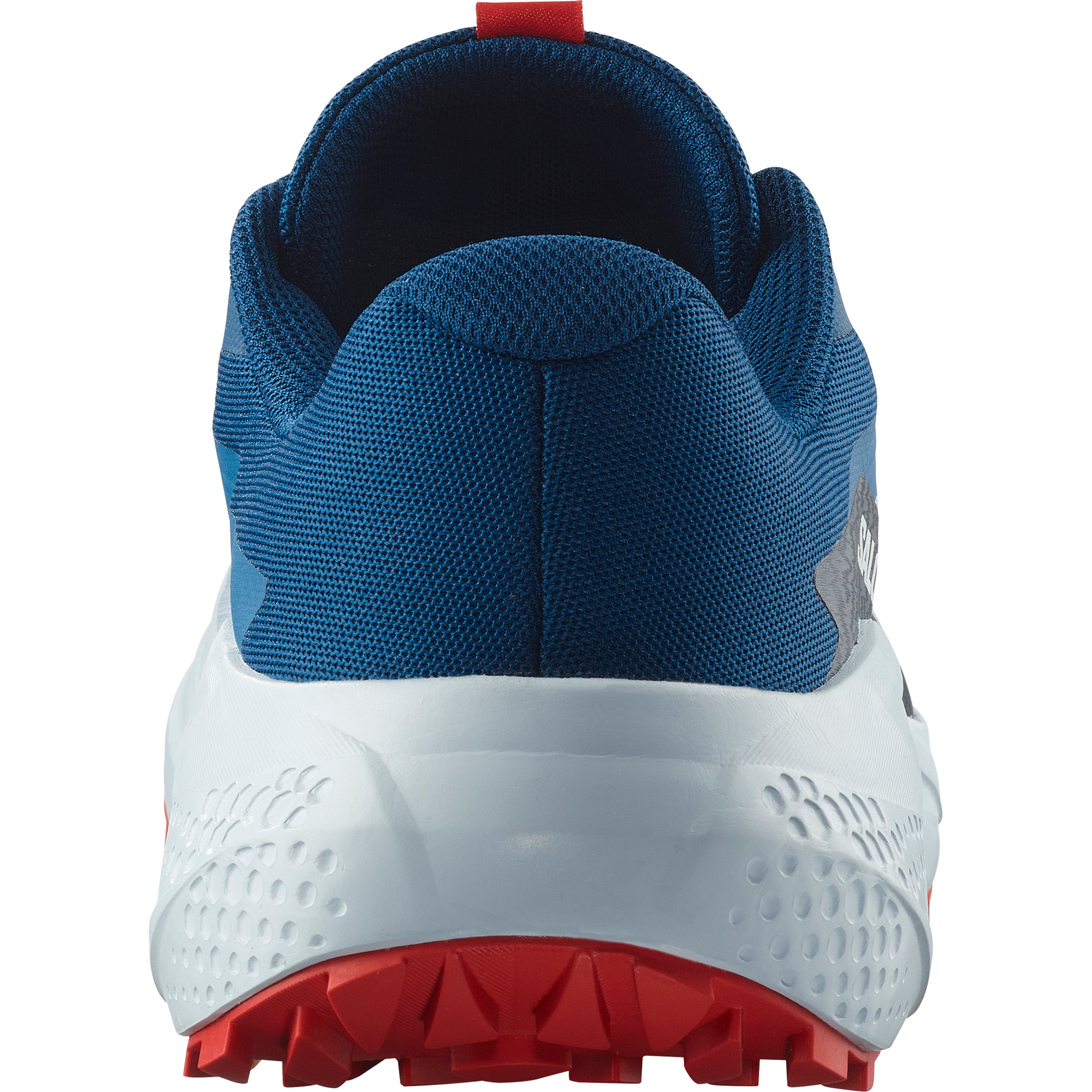 Salomon Trailrunningschuh »ALPHAGLIDE«, wasserdicht