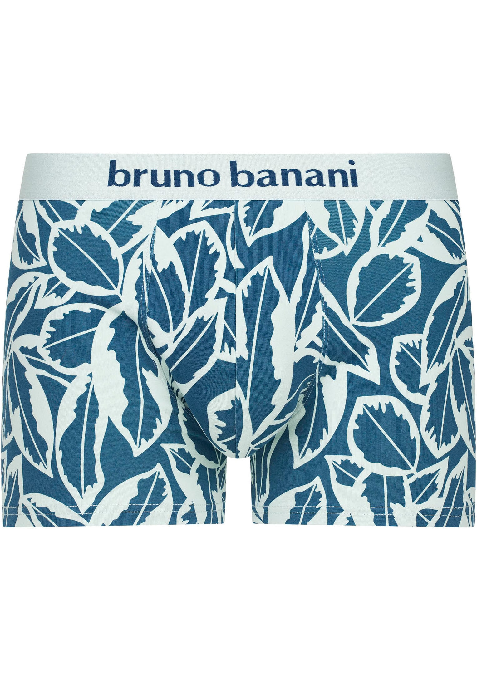 Bruno Banani Retro Pants »Calathea«, (2er Pack), mit Logobund