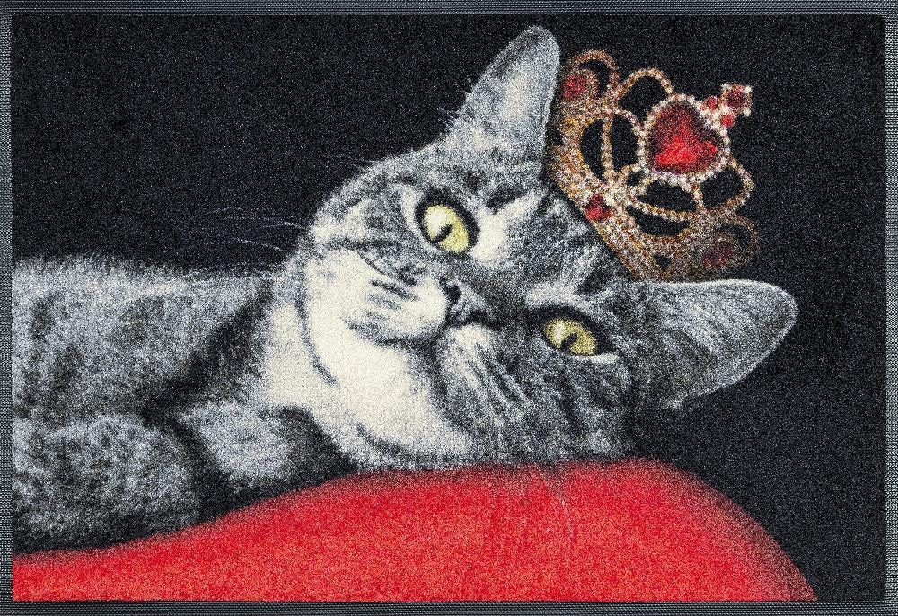 wash+dry by Kleen-Tex Fussmatte »Royal Cat«, Schmutzfangmatte, online Motiv waschbar Jelmoli-Versand | Katze, rechteckig, rutschhemmend, kaufen