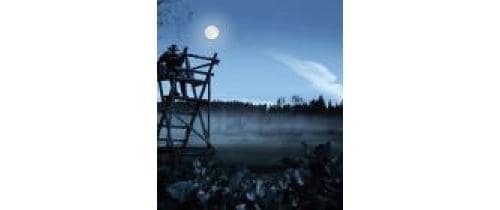 Steiner Fernglas »Fernglas Nighthunter 8x56«