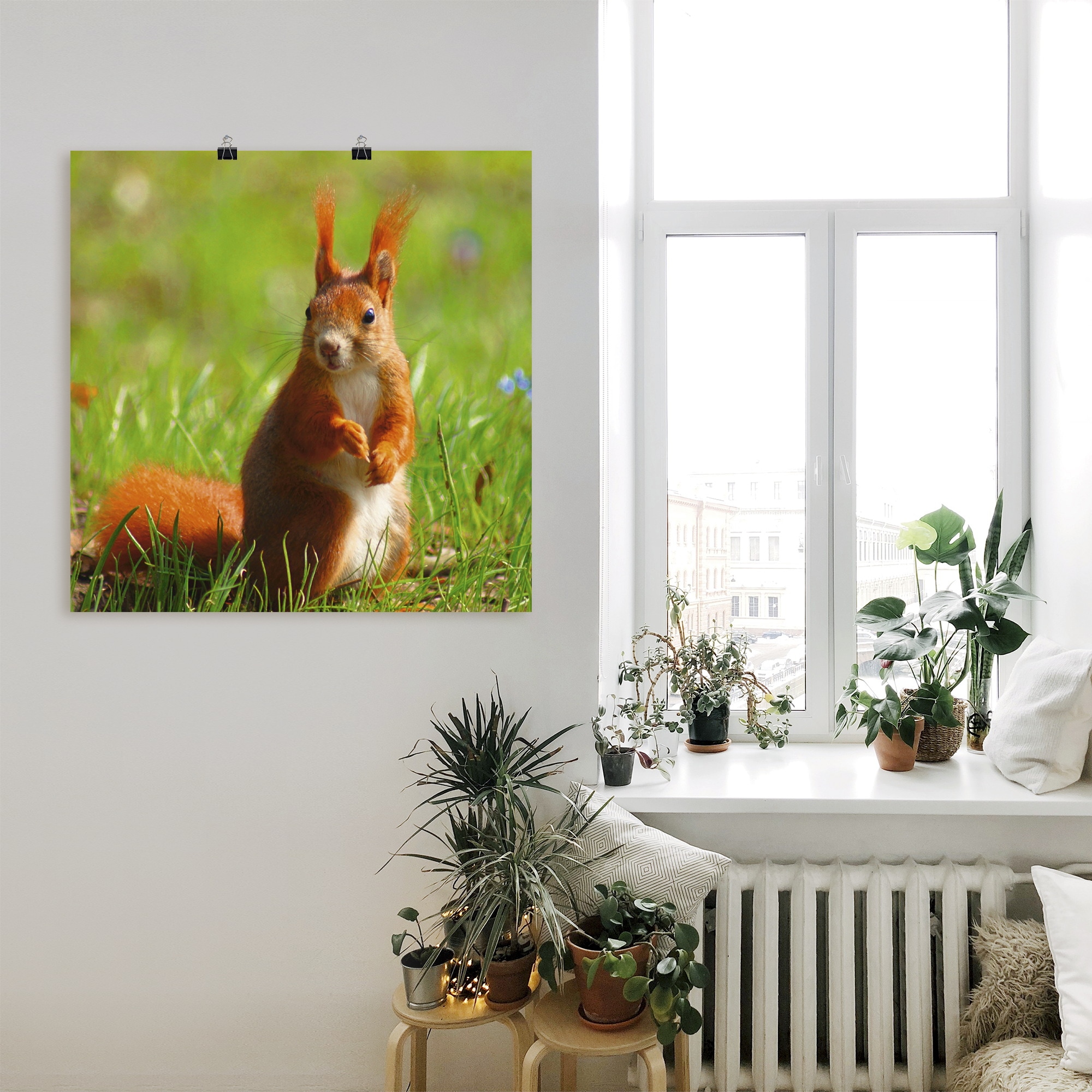 Artland Poster »Eichhörnchen Kontakt«, Wildtiere, (1 St.), als Leinwandbild, Wandaufkleber oder Poster in versch. Grössen