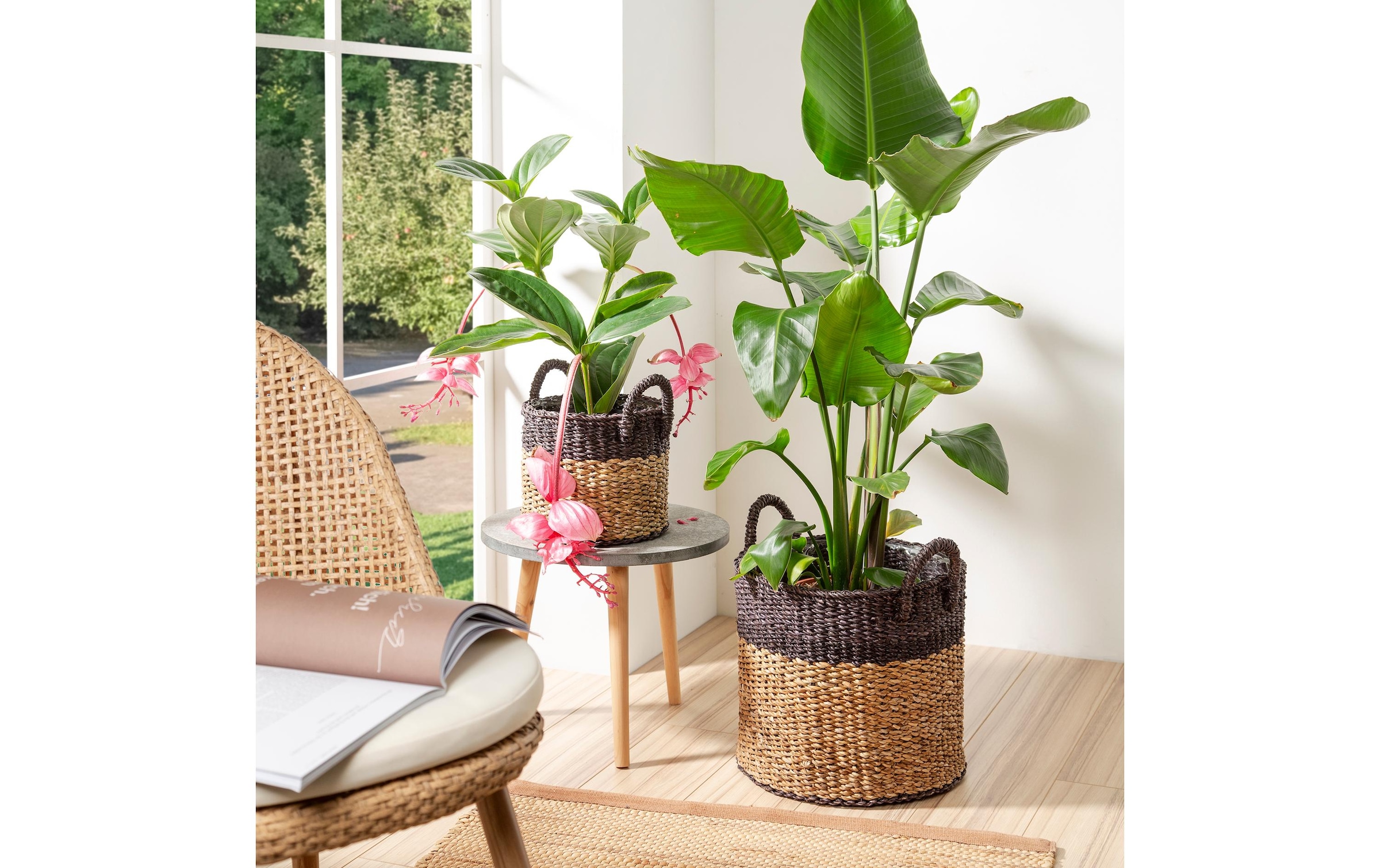 Scheurich Blumentopf »mit Griffen 28 x 24 cm«