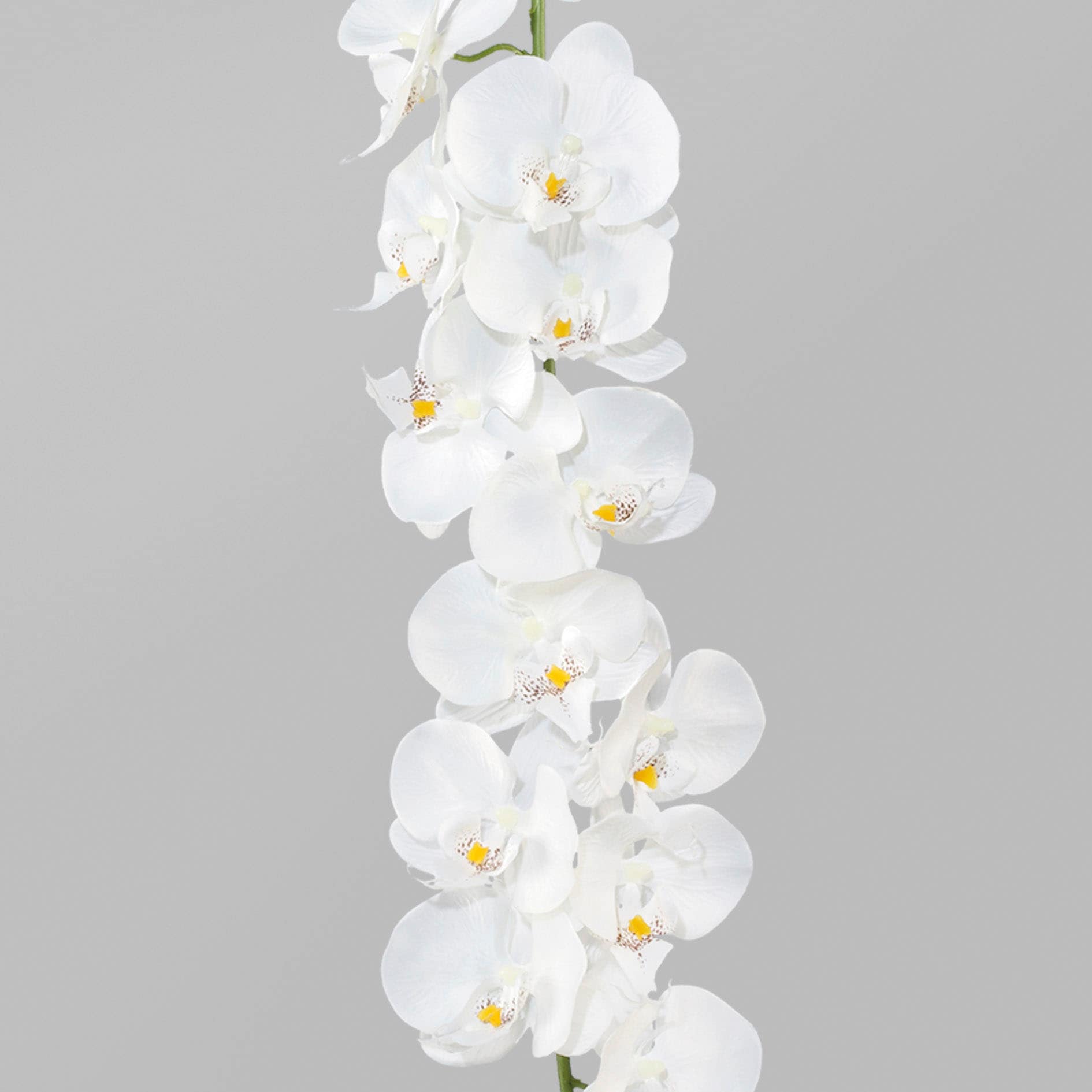 Kunstgirlande »Orchideengirlande«