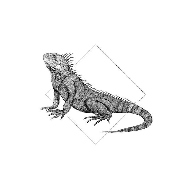 ❤ Komar Poster »Iguana White«, Tiere, (1 St.), Kinderzimmer, Schlafzimmer,  Wohnzimmer kaufen im Jelmoli-Online Shop