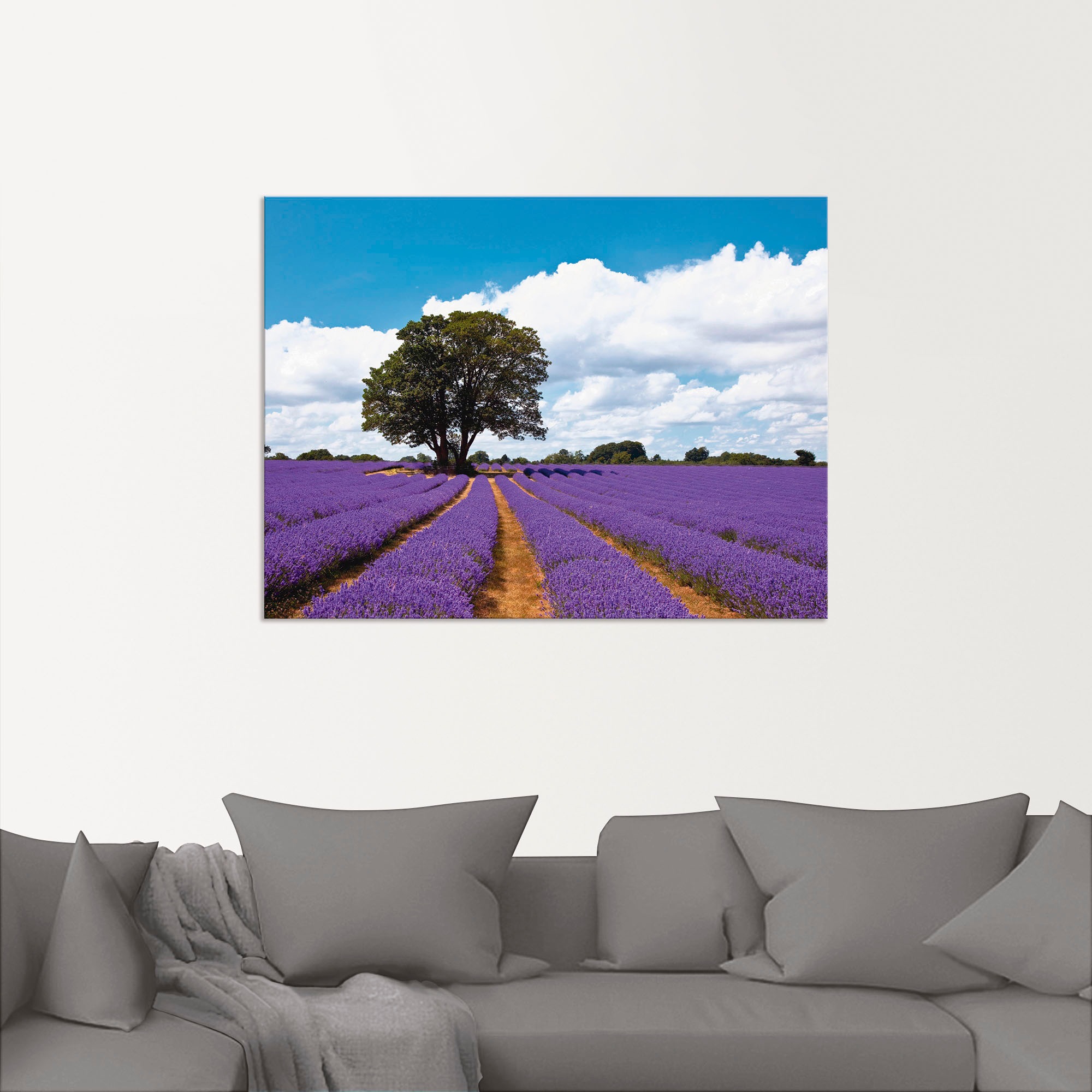 Artland Wandbild »Schönes Lavendelfeld im Sommer«, Felder, (1 St.), als Alubild, Outdoorbild, Leinwandbild in verschied. Grössen