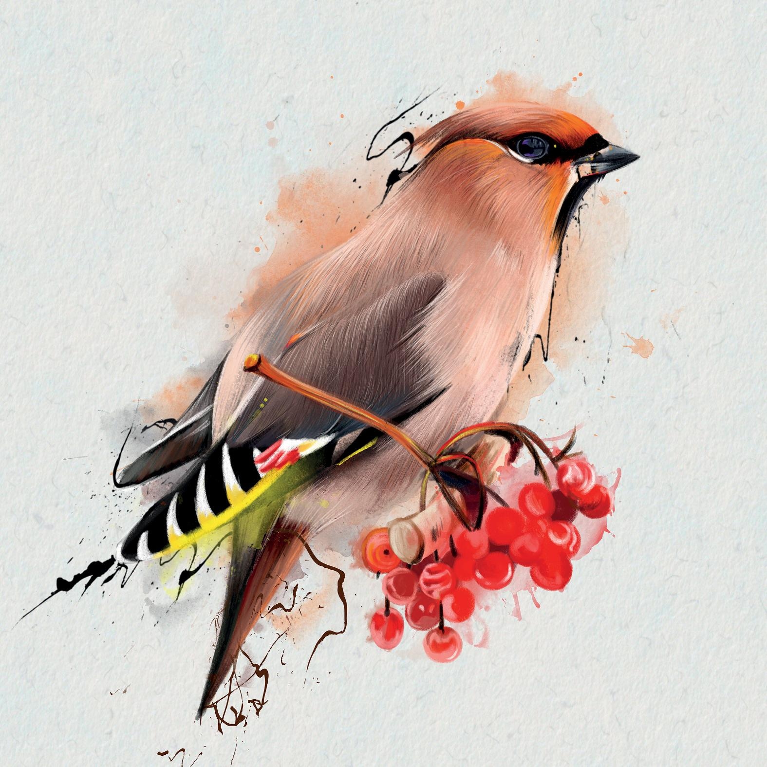 queence Dekokissen »»Vogel««, Kissenhülle ohne Füllung, 1 Stück