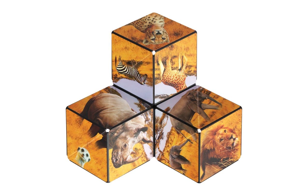 3D-Puzzle »Shashibo Cube Savanna«
