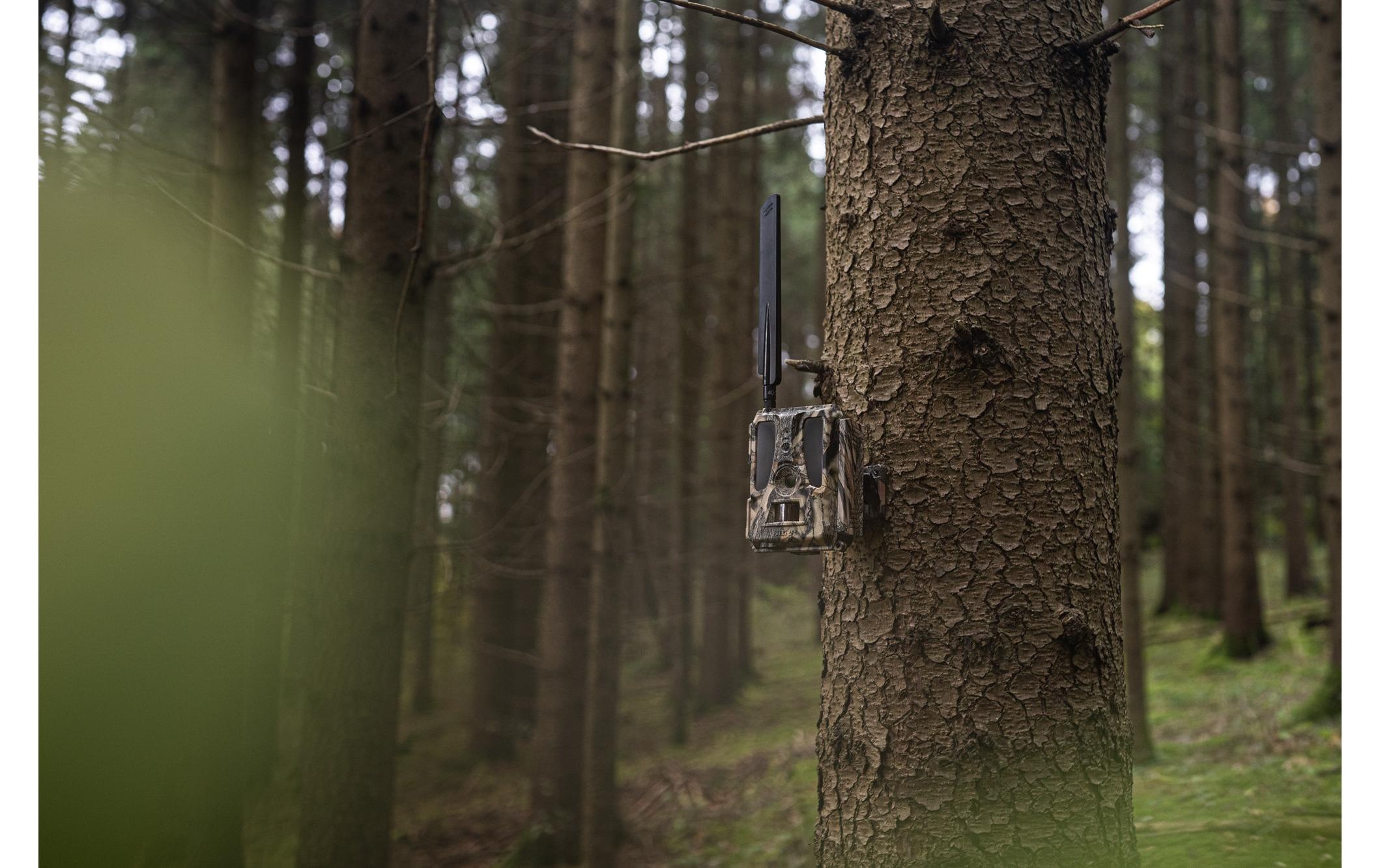 Wildkamera »Dörr Wildkamera SnapShot Cloud Pro 4G WA«, Aussenbereich